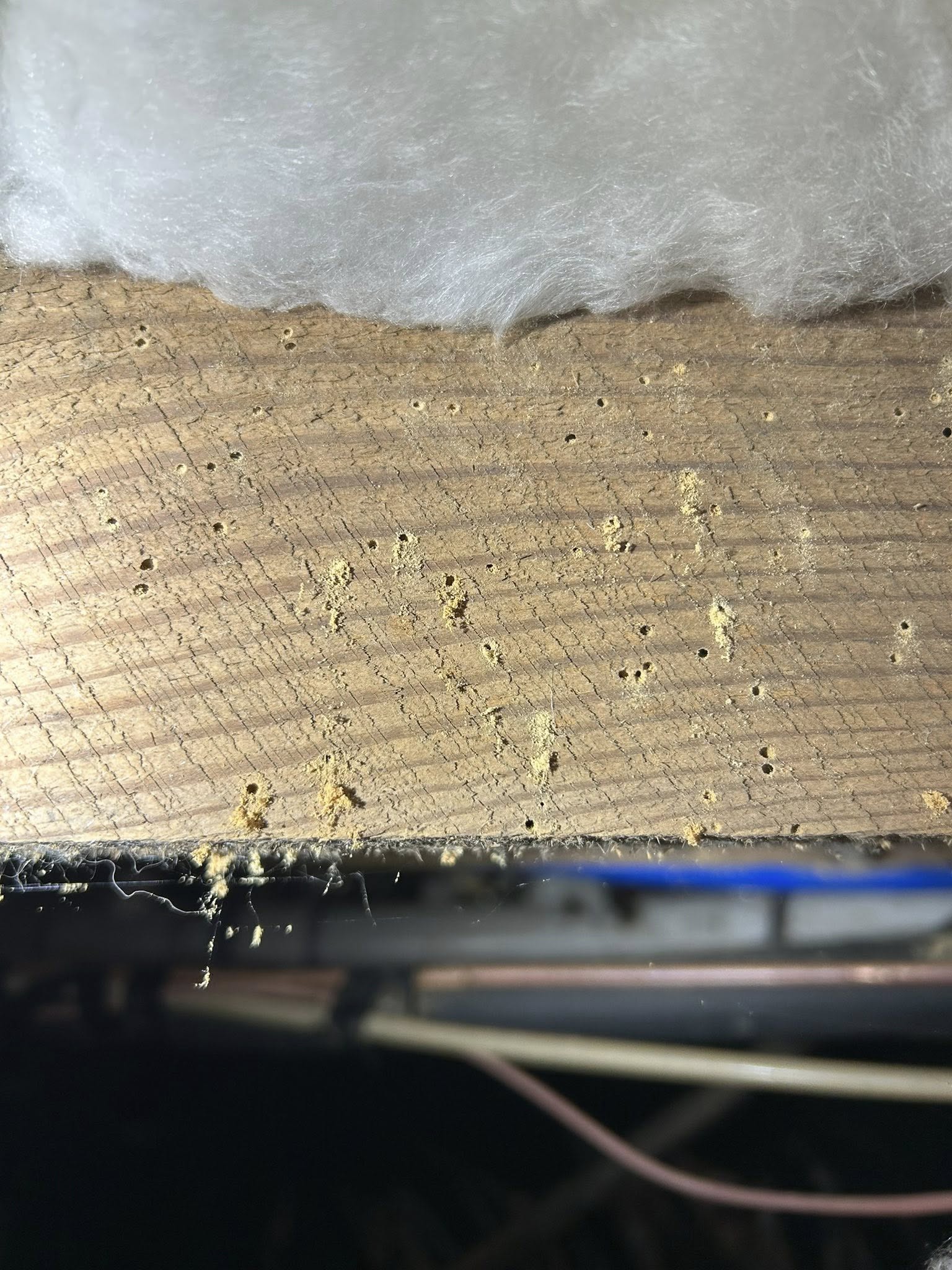  for Winecoff Pest Control in Salisbury, NC