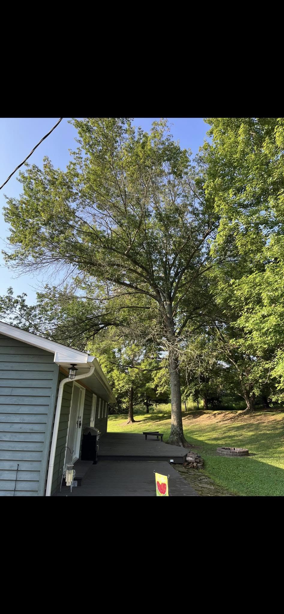 for Hendricks Tree Service in Belleville, IL