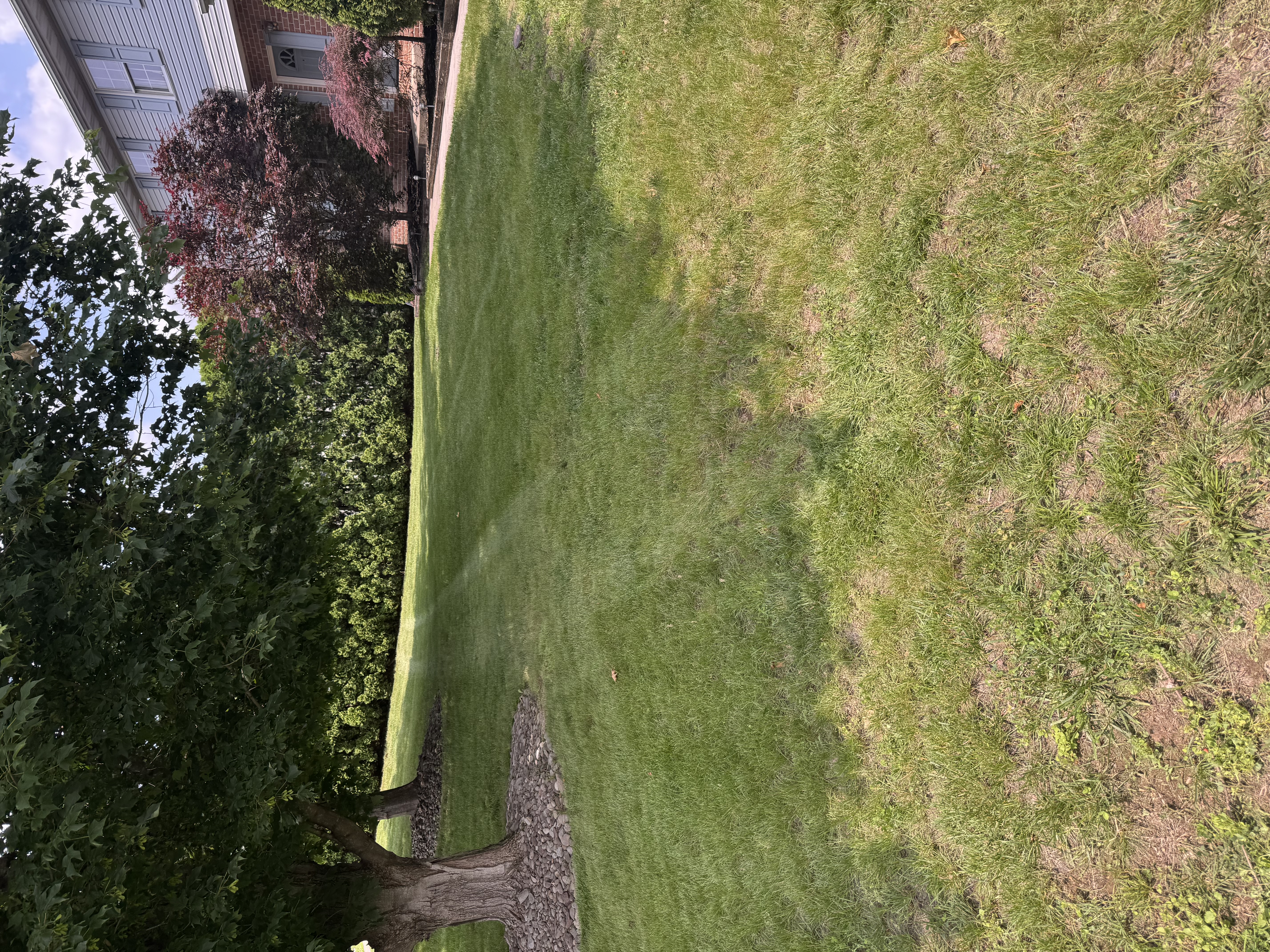  for Landscape & Lawn Care Pros in Temple, PA