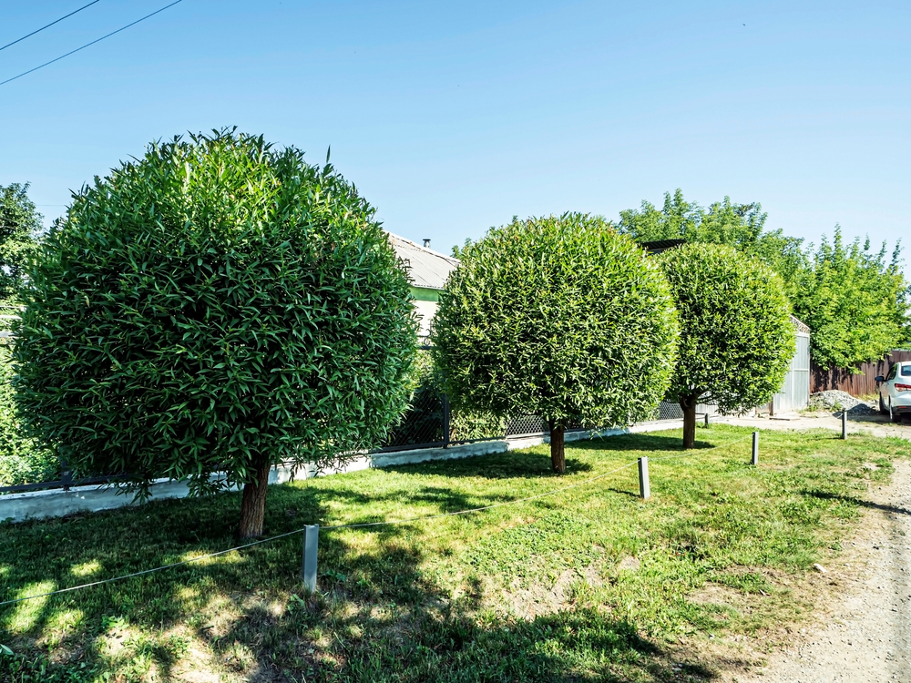  for L&hlawncare in Lake City, SC