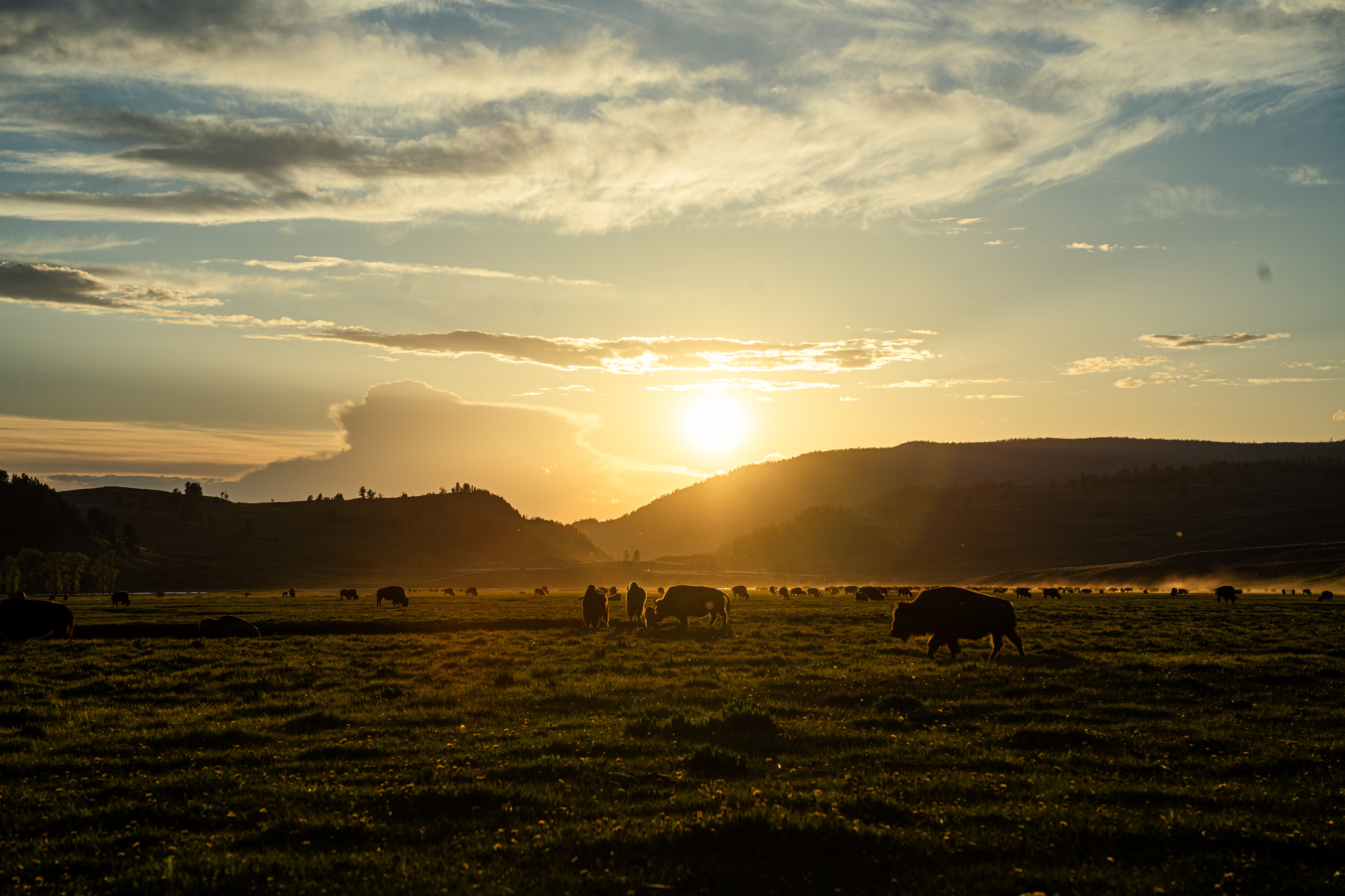 photography company RIBAR Visuals in Manhattan, NY