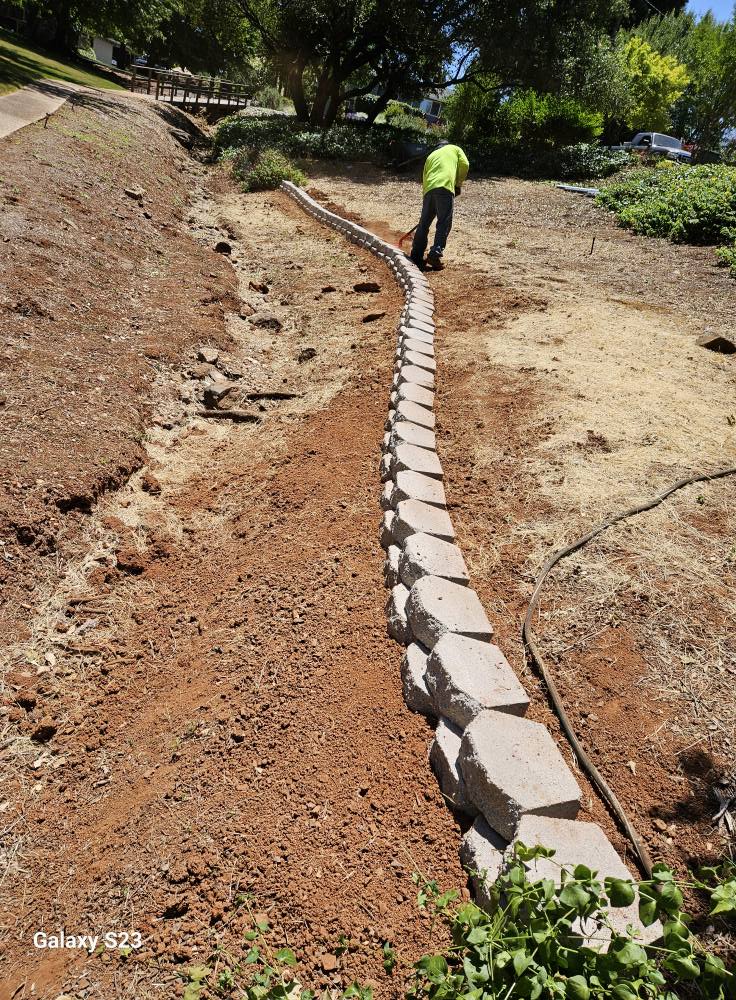  for Mejia Maintenance in Auburn, CA