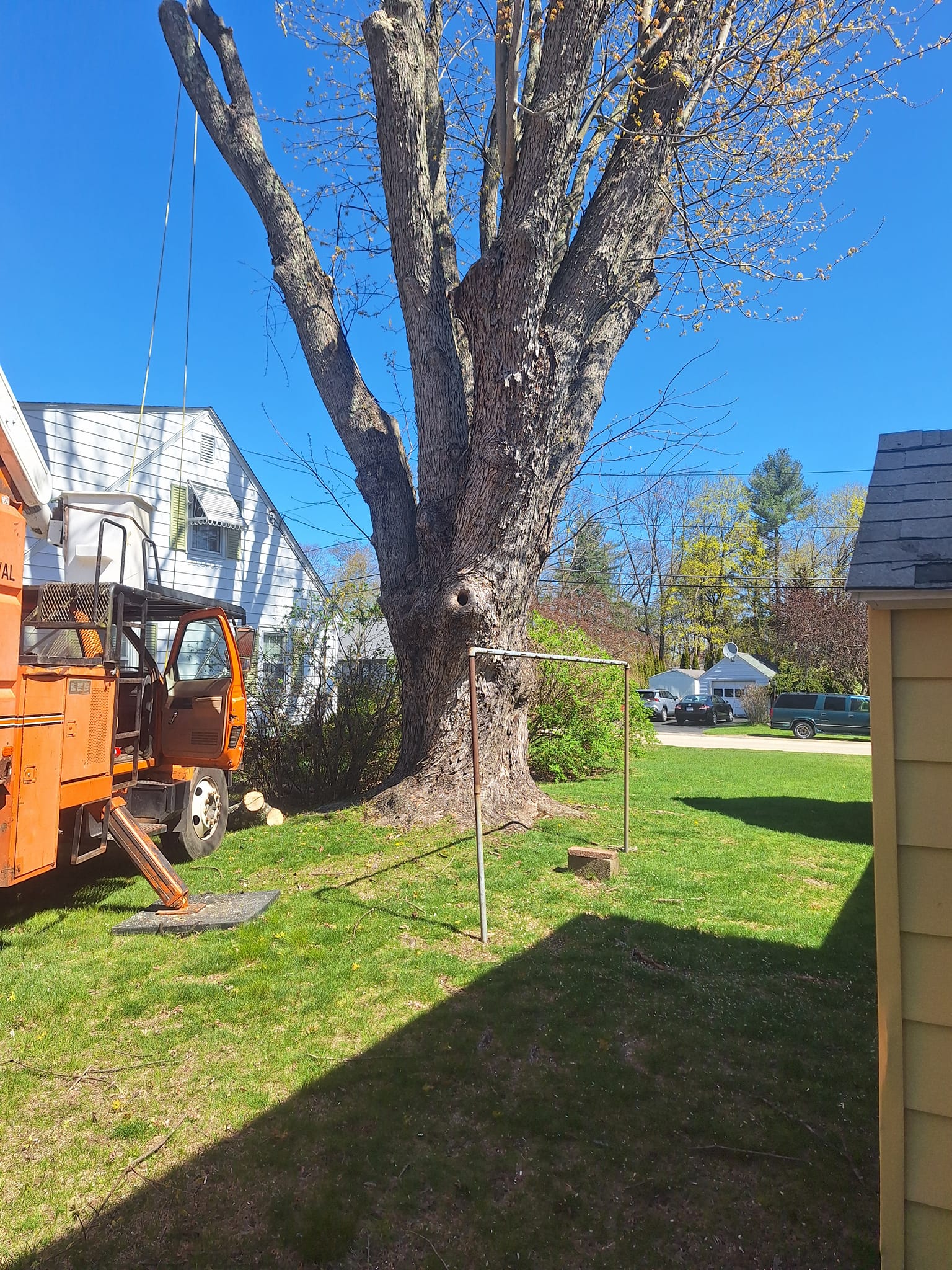 Tree Services company Mitchell's Tree Service in North Brookfield, MA