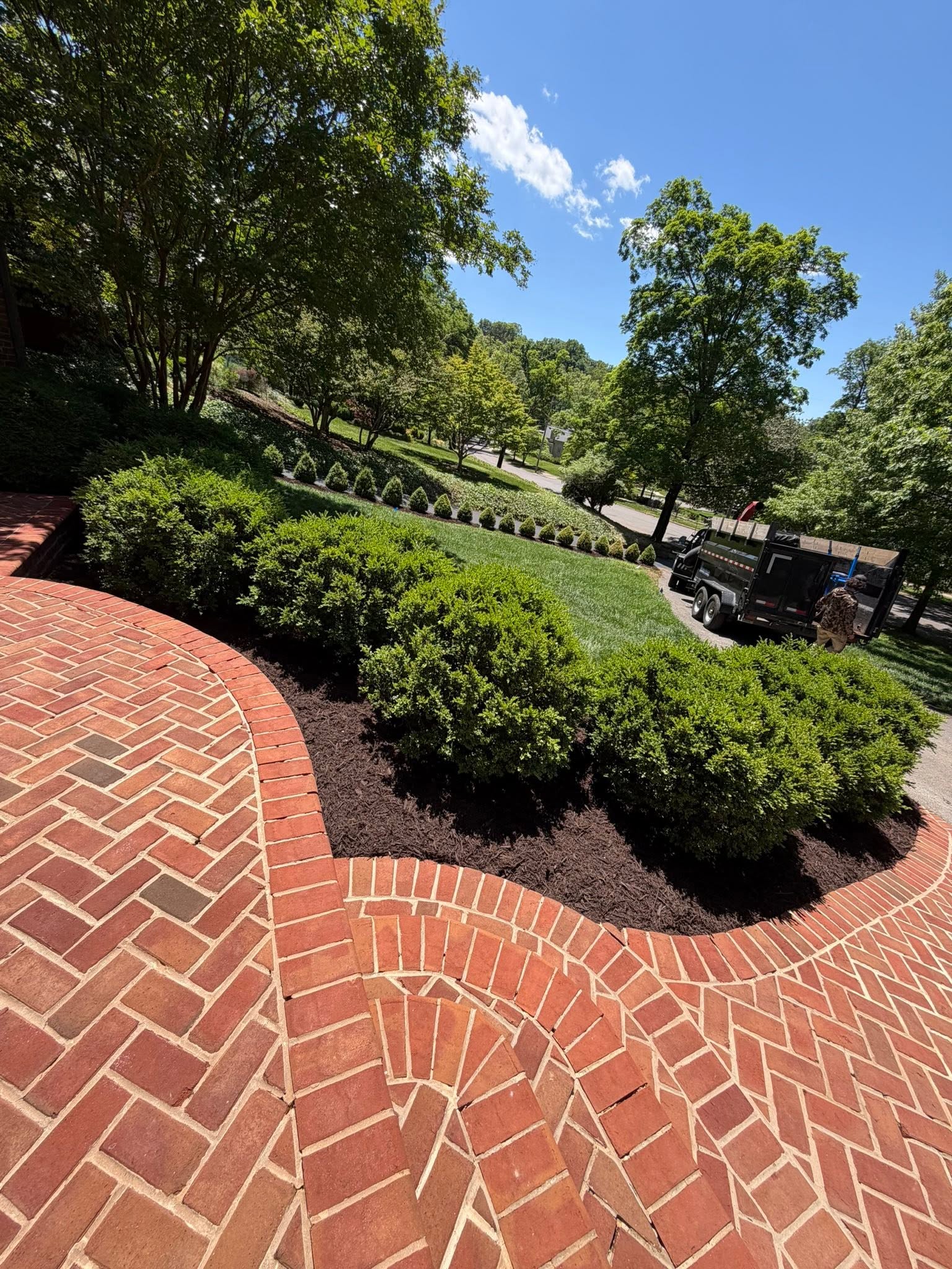 Shrub and hedge care in Blacksburg VA