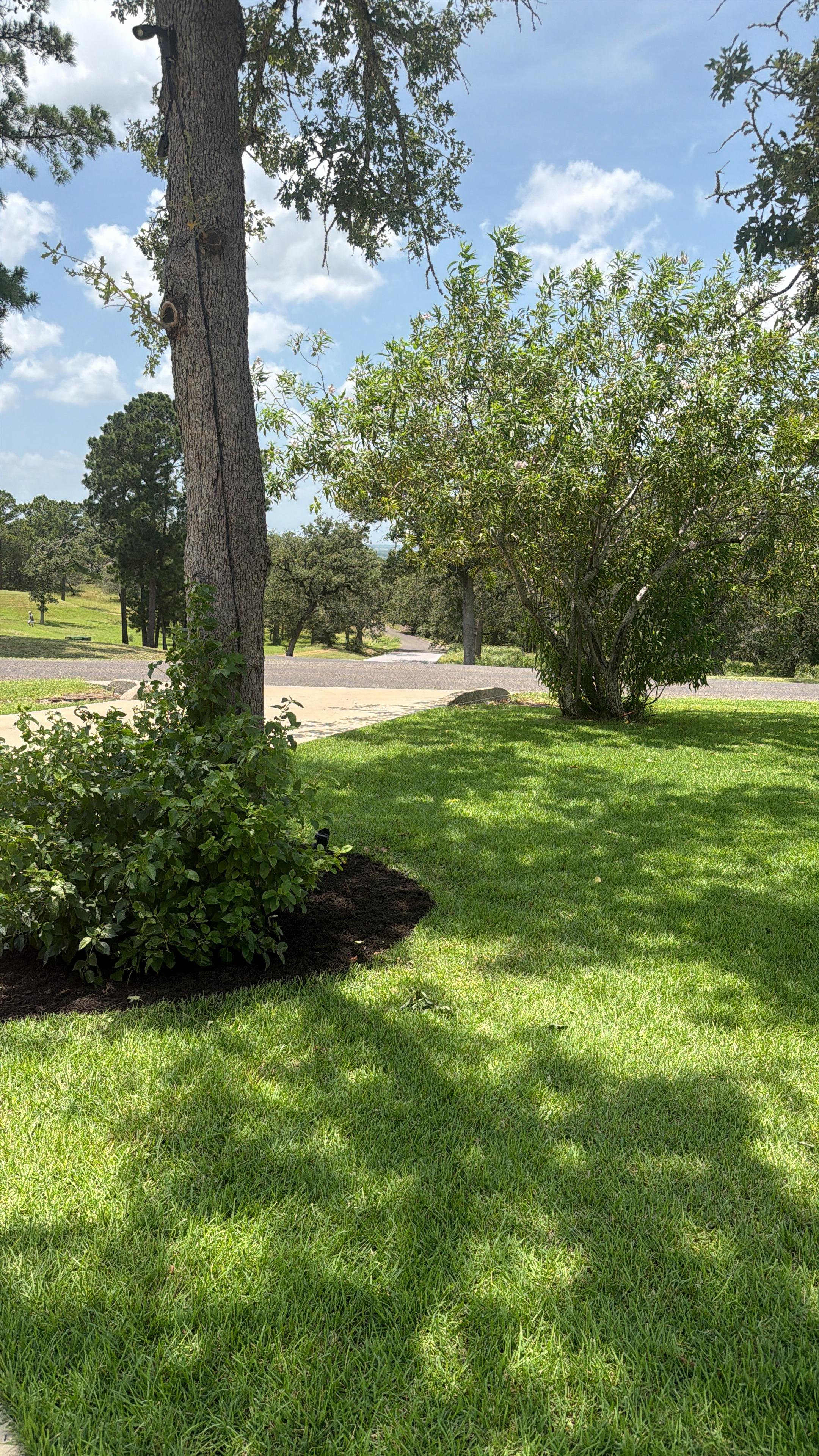  for Green Pastures Lawn Care in Bastrop, TX
