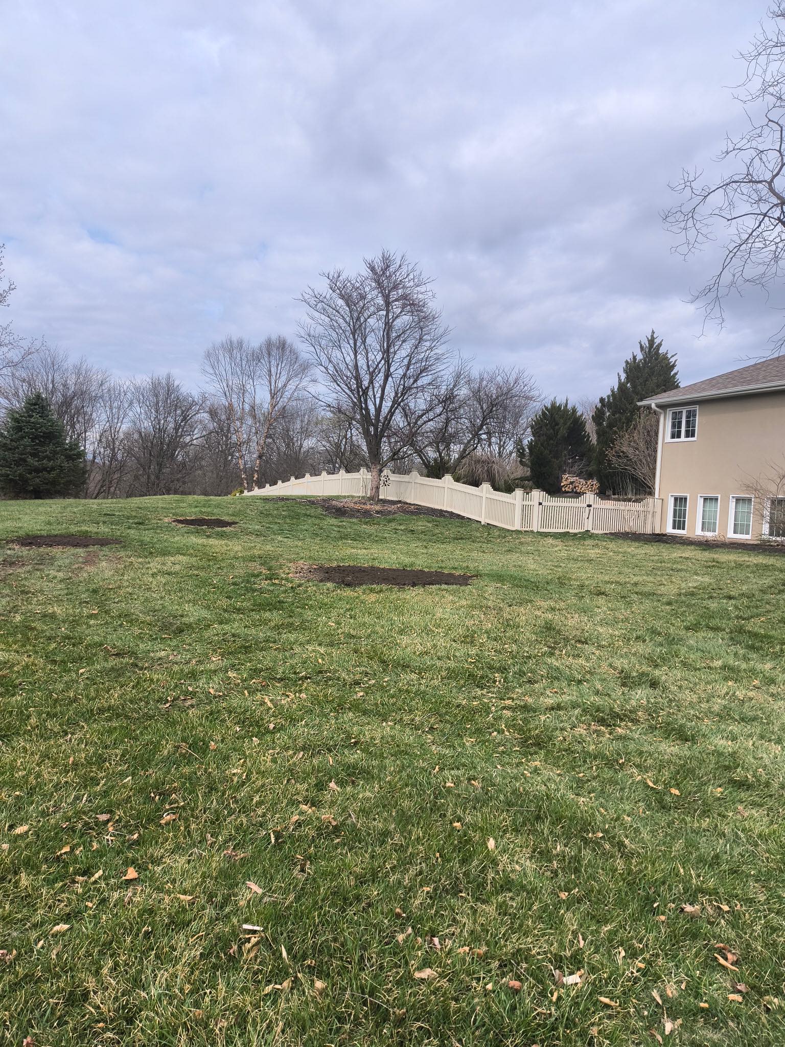 Tree Services company Cross Family Tree Service in Kearney, MO