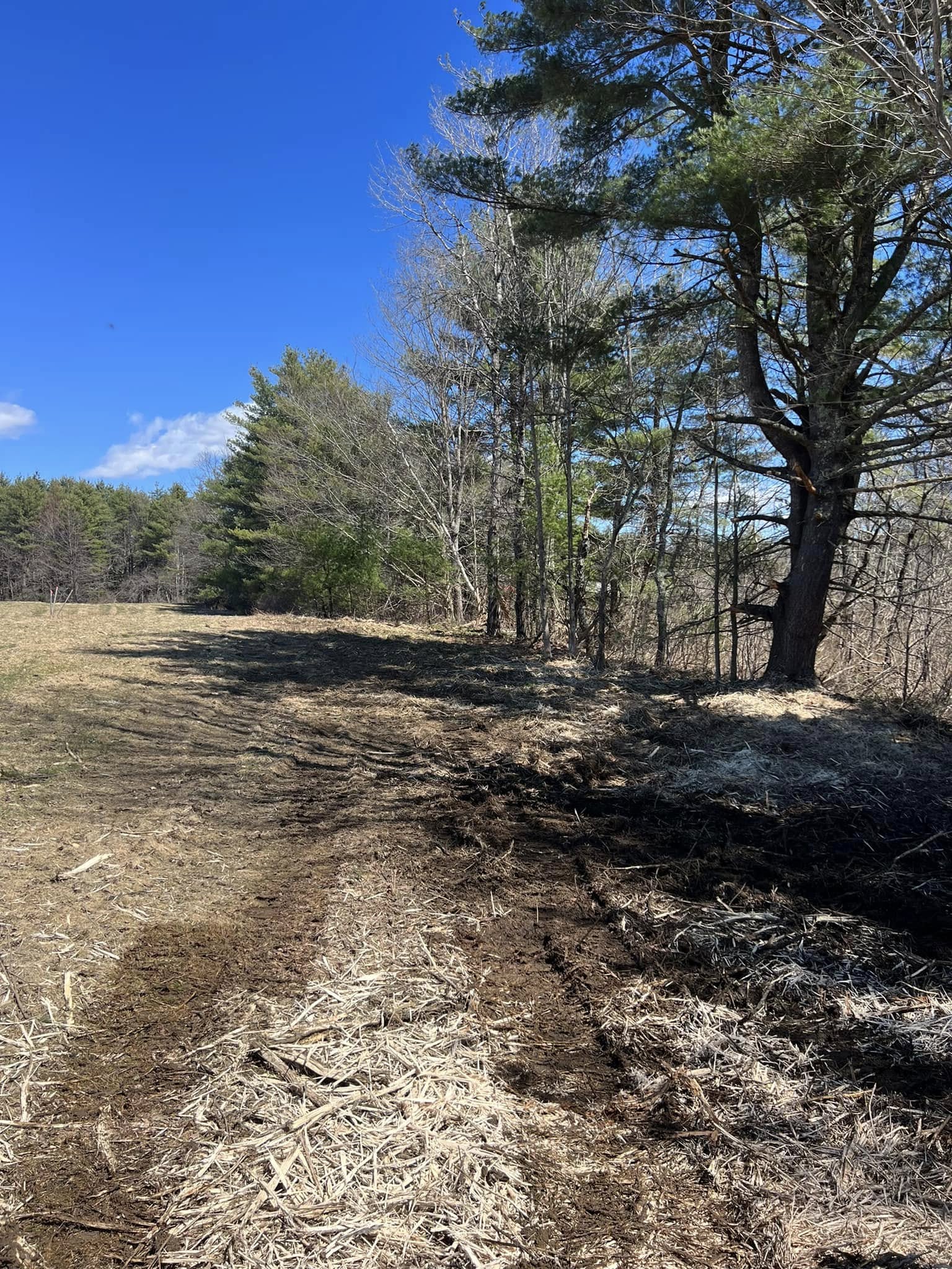 excavating company company Shufelt Excavation & Forestry Mulching in Gray, ME