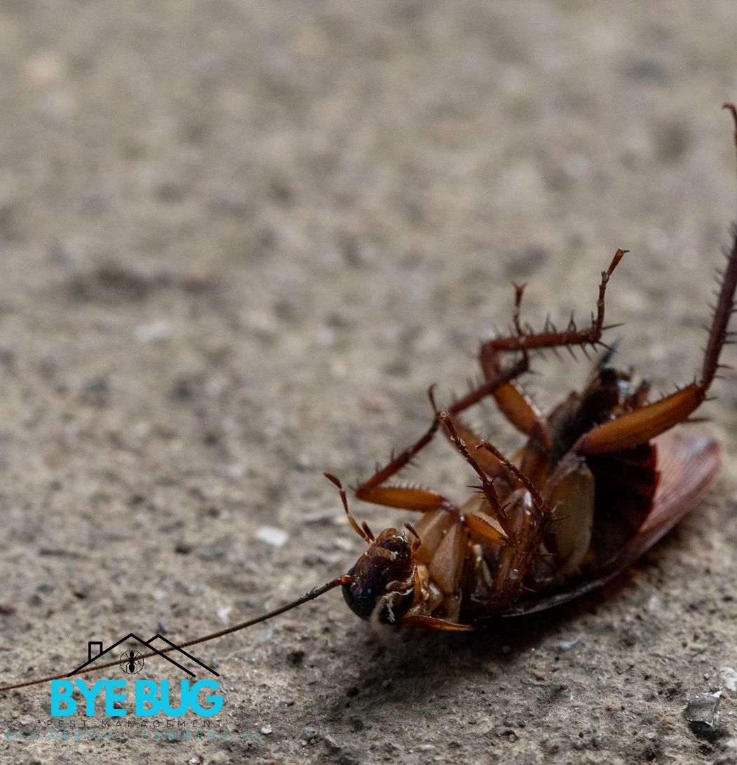  for Bye Bug Pest Management in Crawford, TX