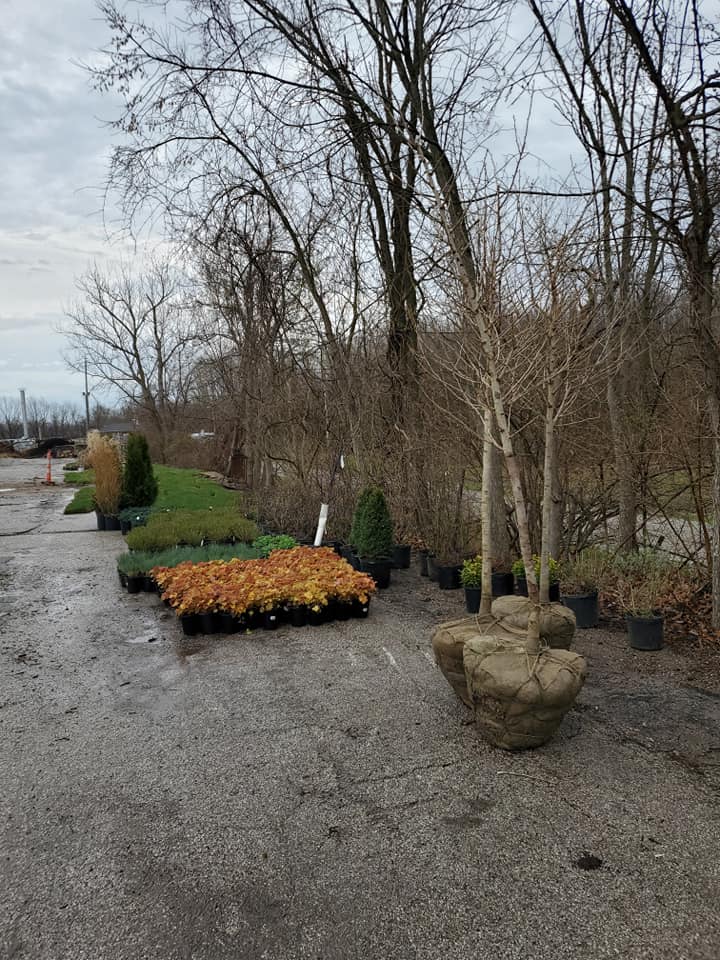  for Contemporary Landscape in St. Louis, MO