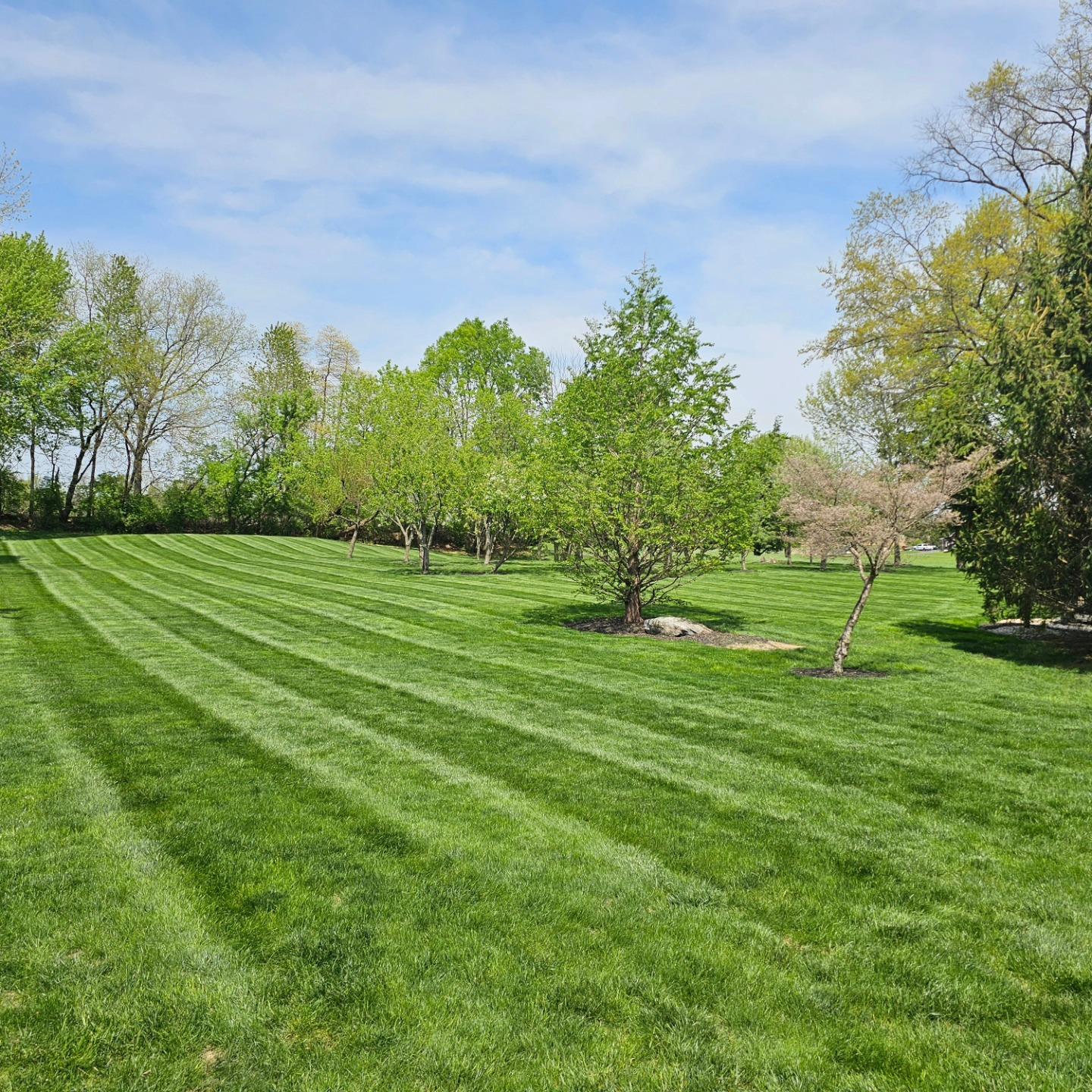  for Trippin A-Lawn in Bethlehem, PA
