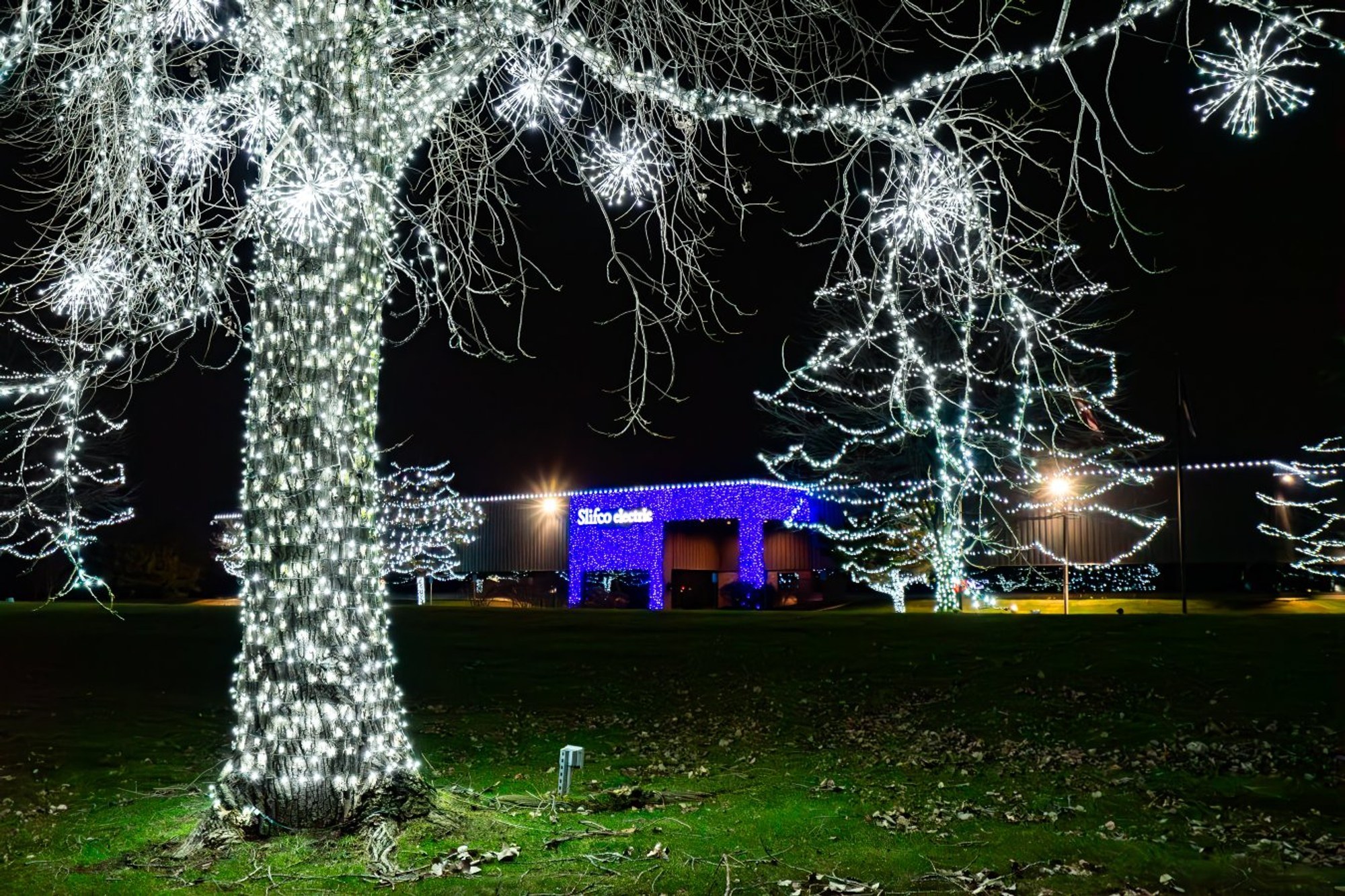 Commercial building outlined in blue Christmas lights