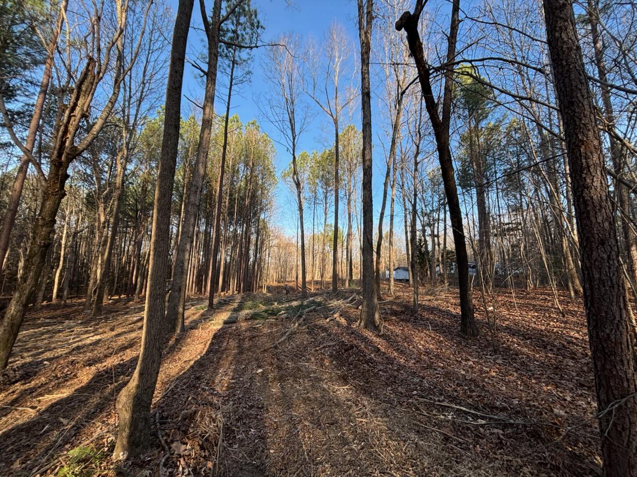  for Carolina Construction Services in Woodleaf, NC