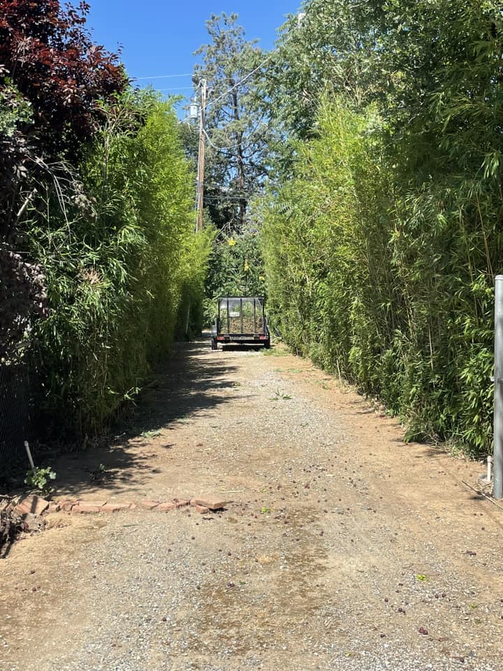  for Zuta1 Services in Redding, CA