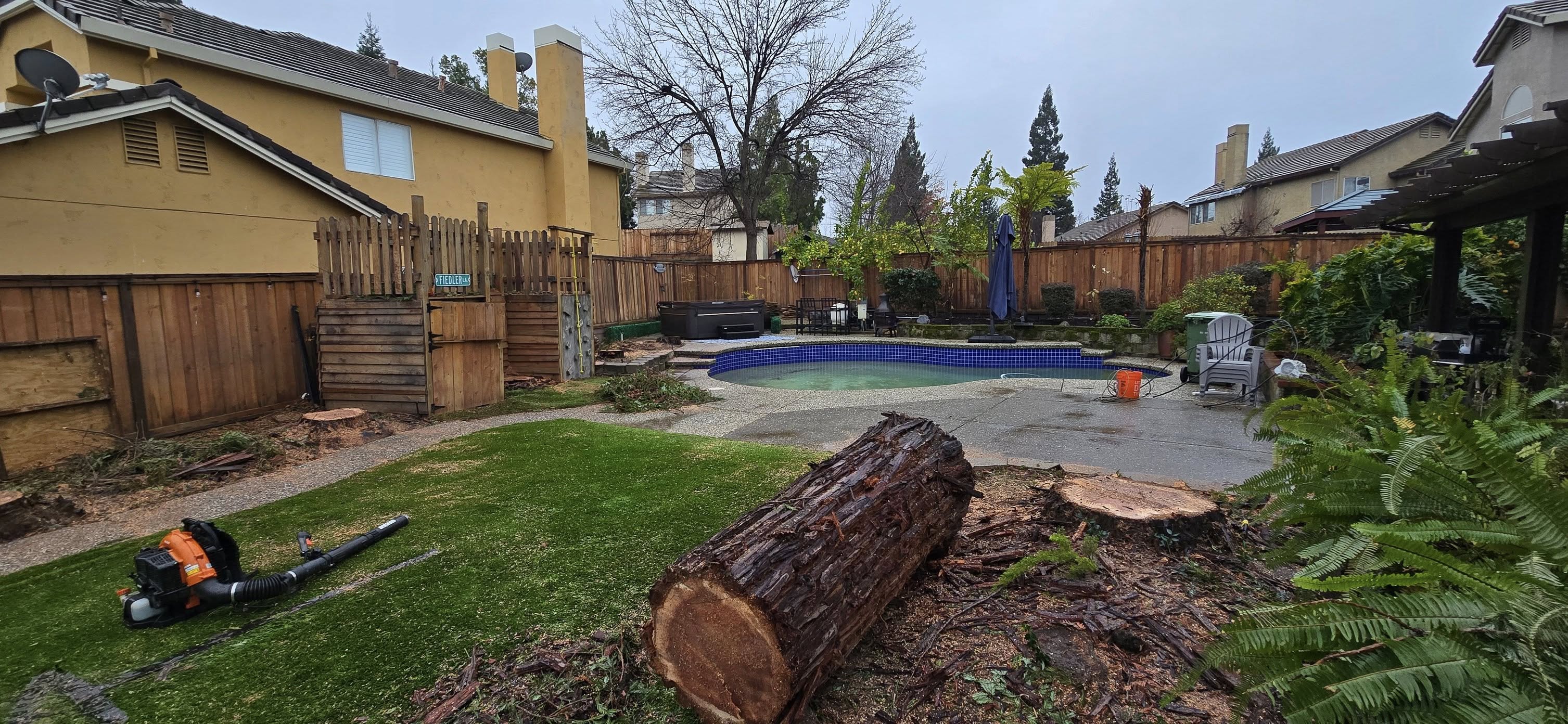  for George Staddan's Professional Tree Care in Placerville, CA