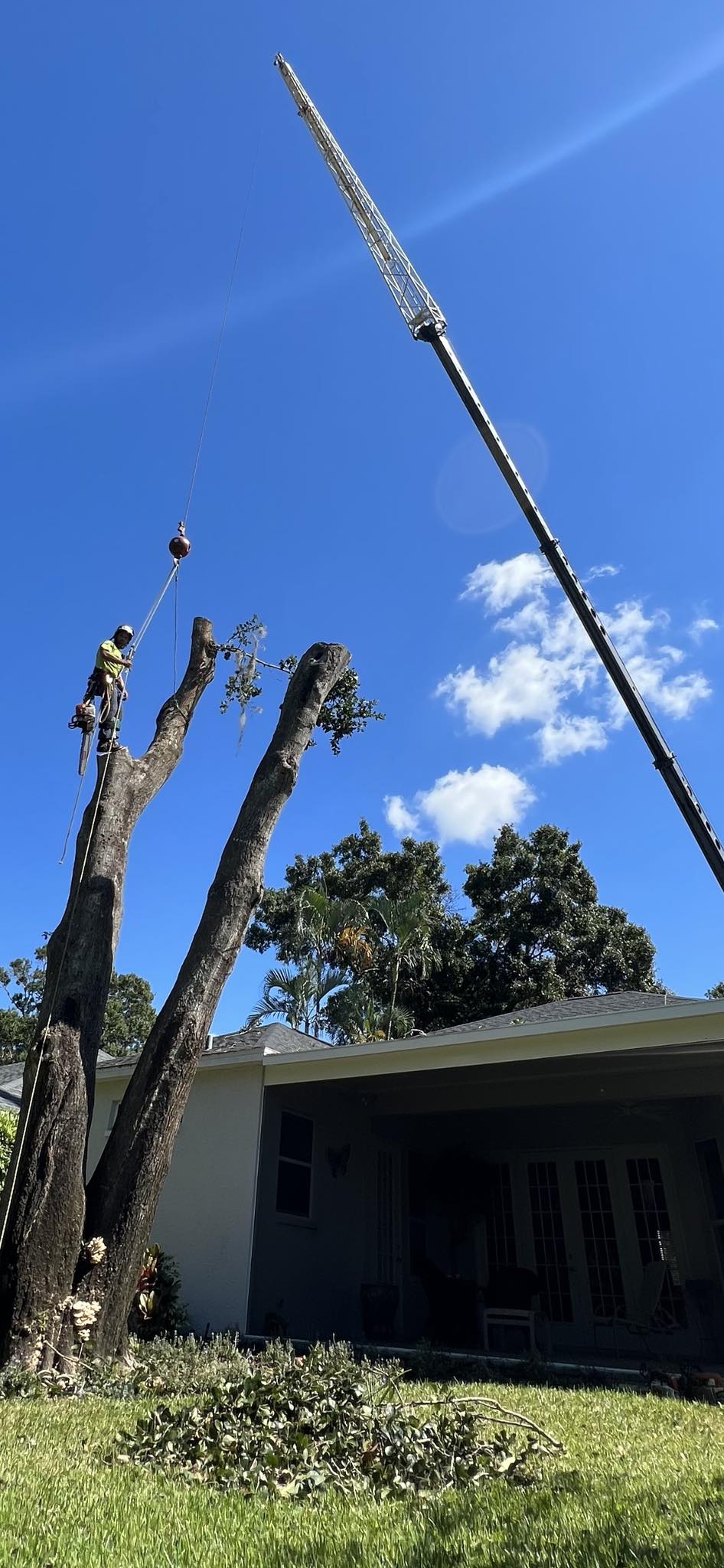  for Damian’s Tree Care in Sarasota, FL