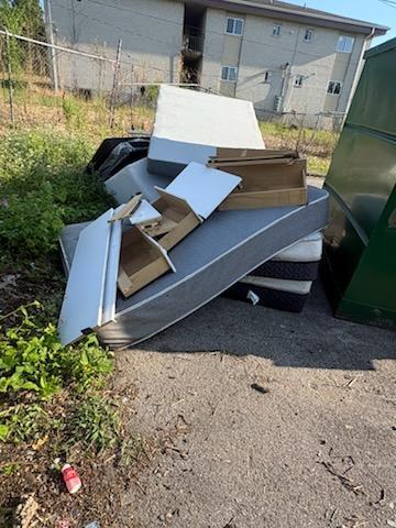 Pick it Up Pro's Junk Removal team in Nashville, TN - people or person