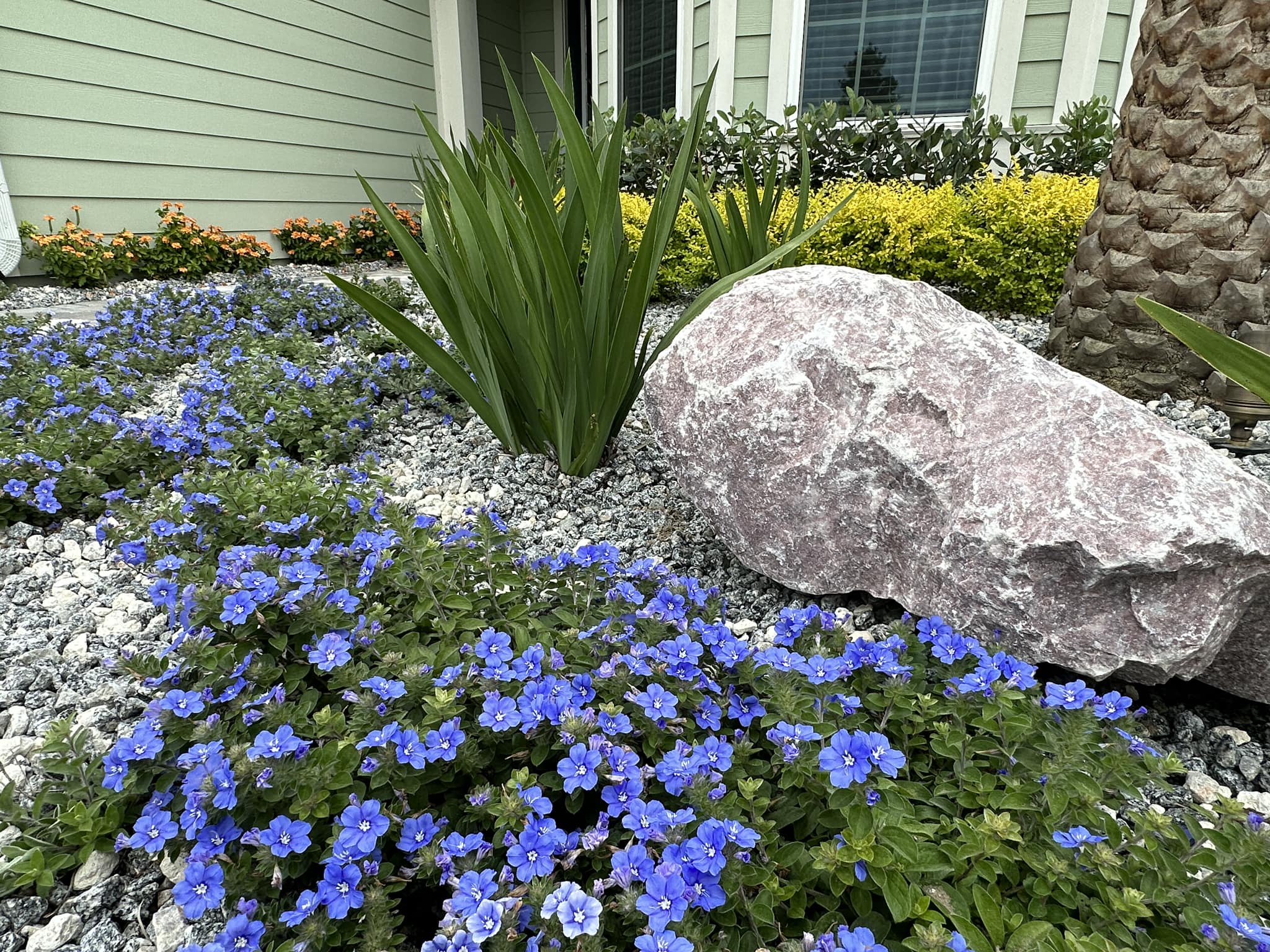 for Lawns By St. John in North East, Florida