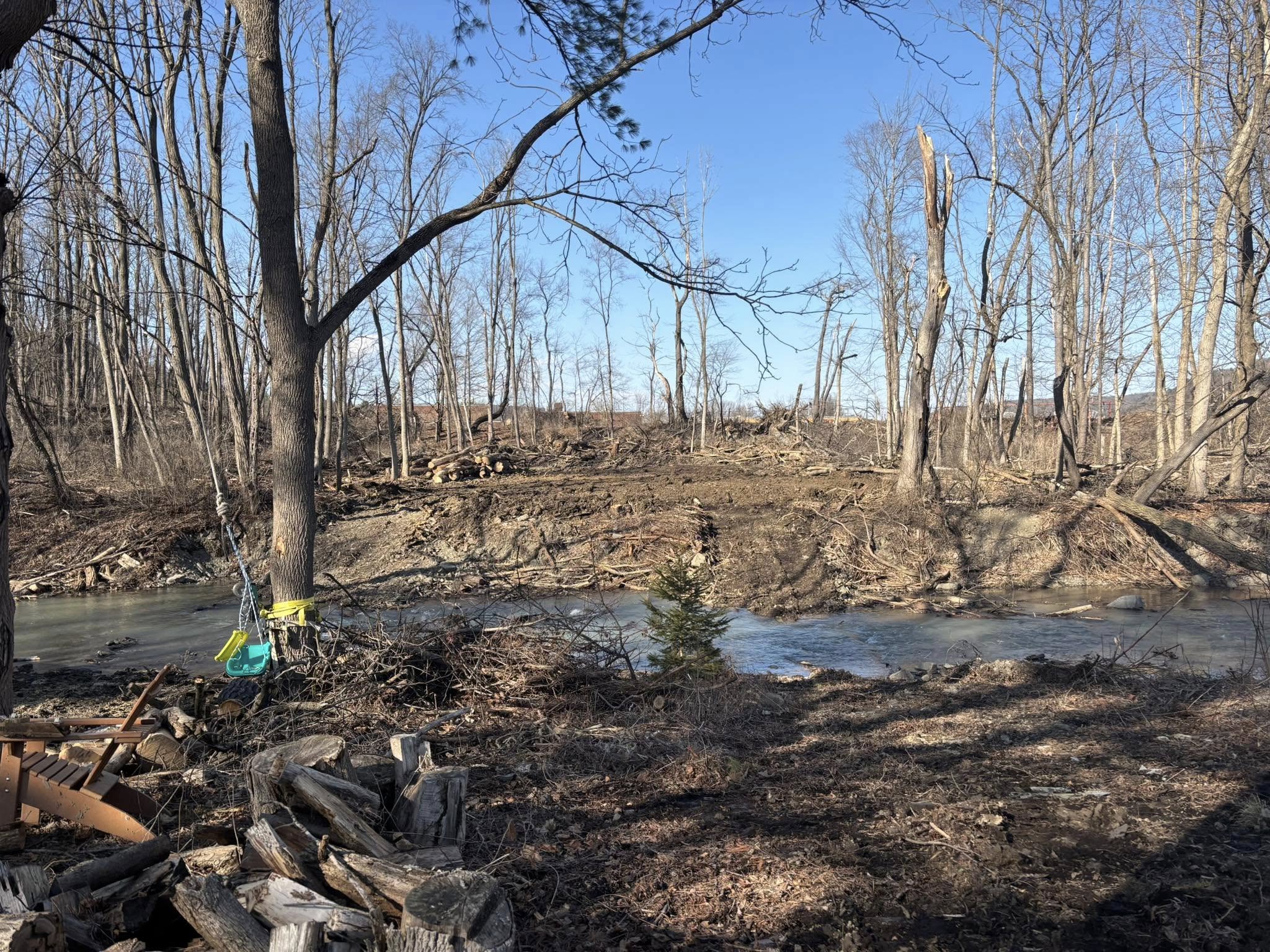 Tree Services company Brax Forestry in Endicott, NY