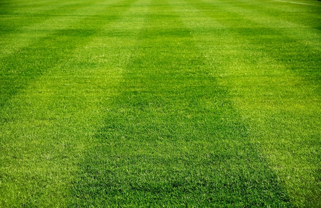  for Valadez Landscaping LLC in Fort Worth, TX