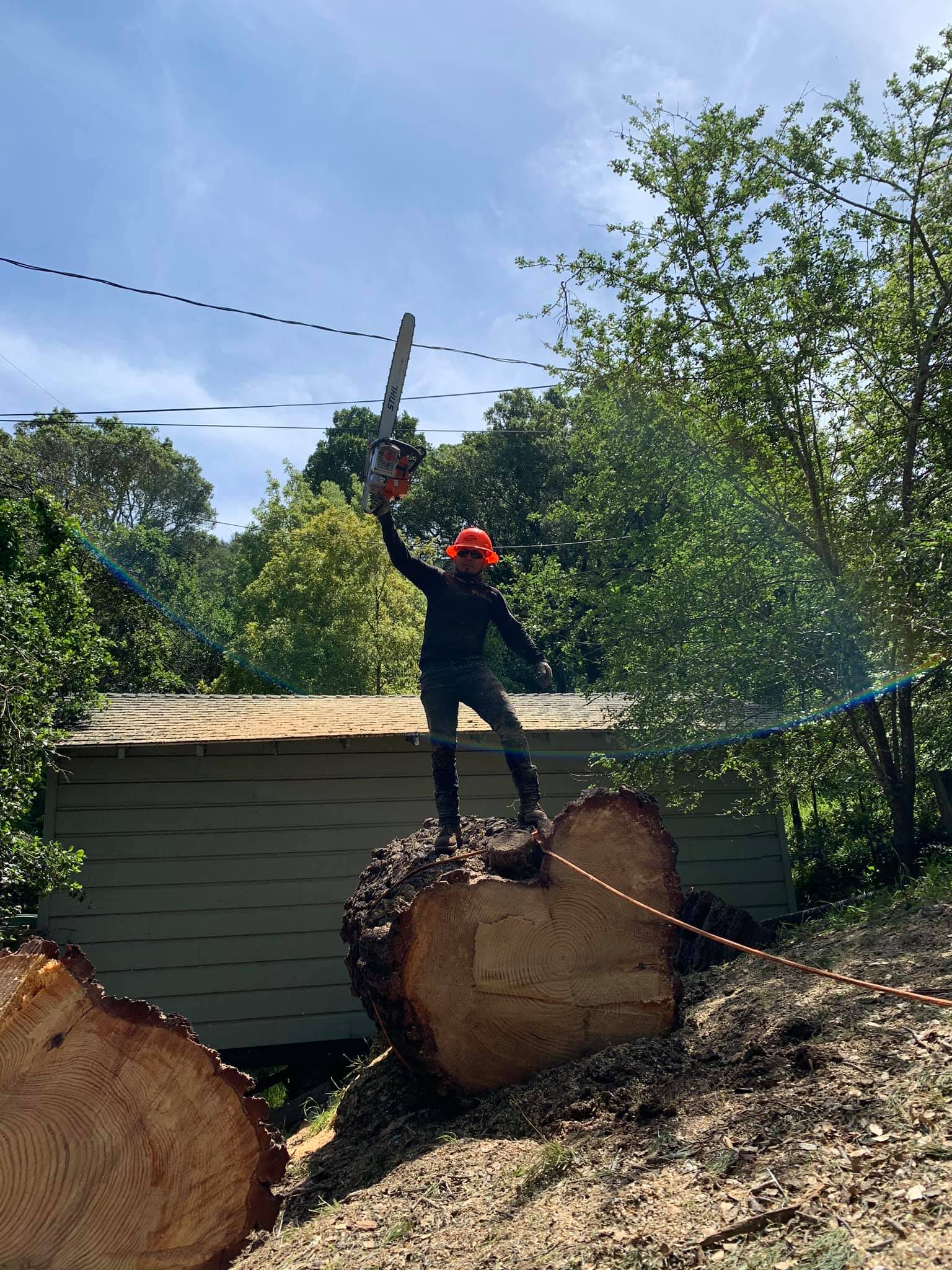  for Williams Tree Service LLC in Indianapolis, IN