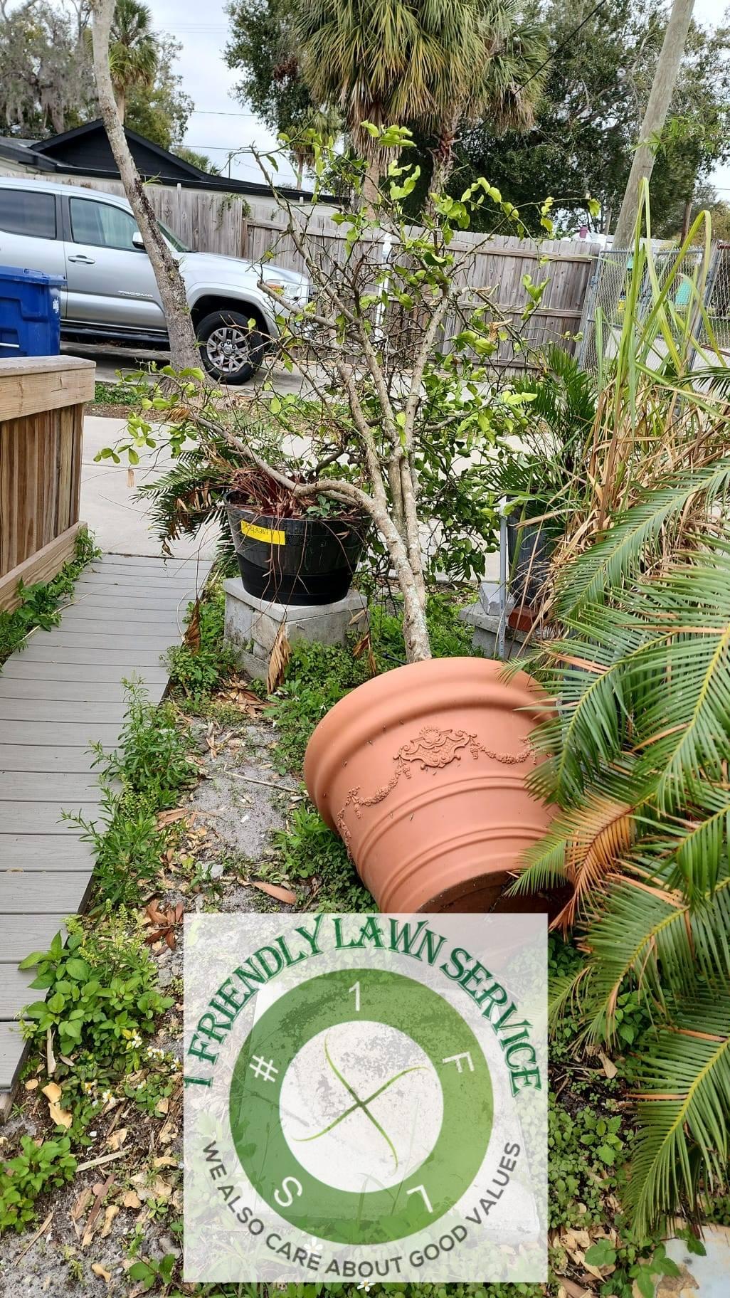  for 1 Friendly Lawn Service  in Tampa, FL