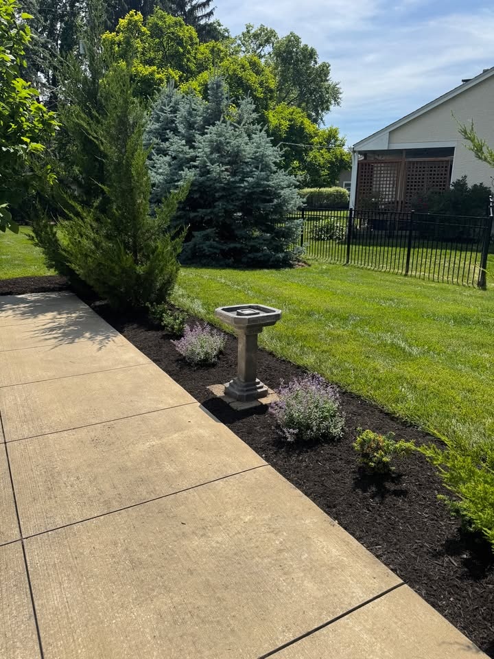 Finished landscape bed with plantings and fencing
