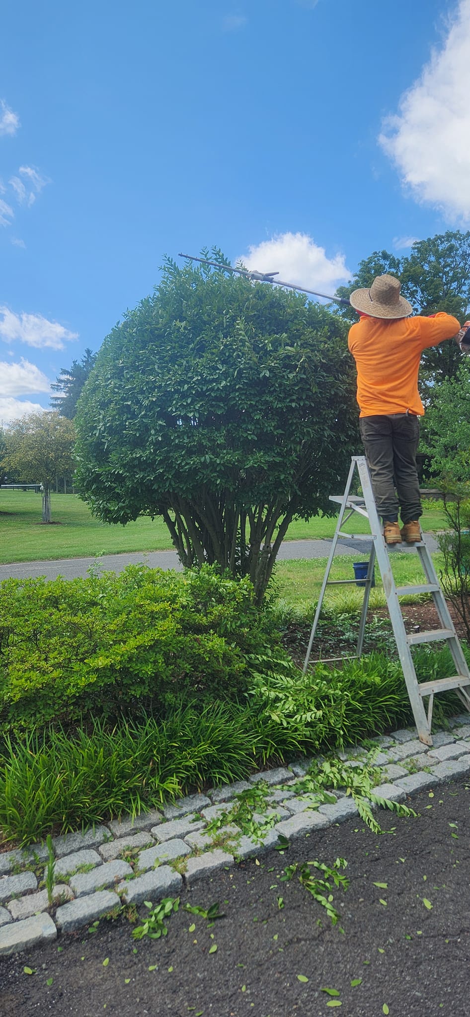  for Cristians Maintenance and Hardscaping llc in Bedminster, NJ