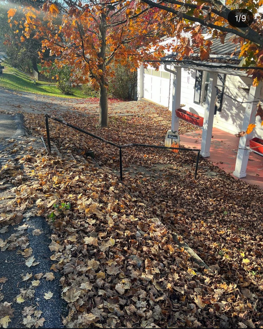  for Cam Yardz in Washington, PA