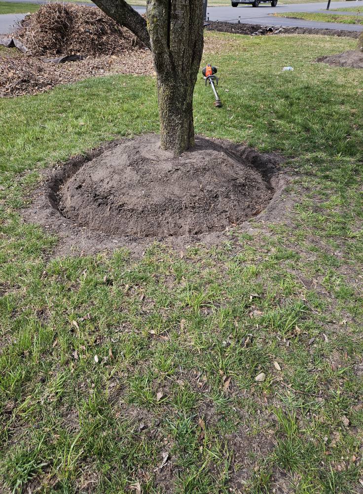  for New Dawn Landscaping LLC in Georgetown, DE
