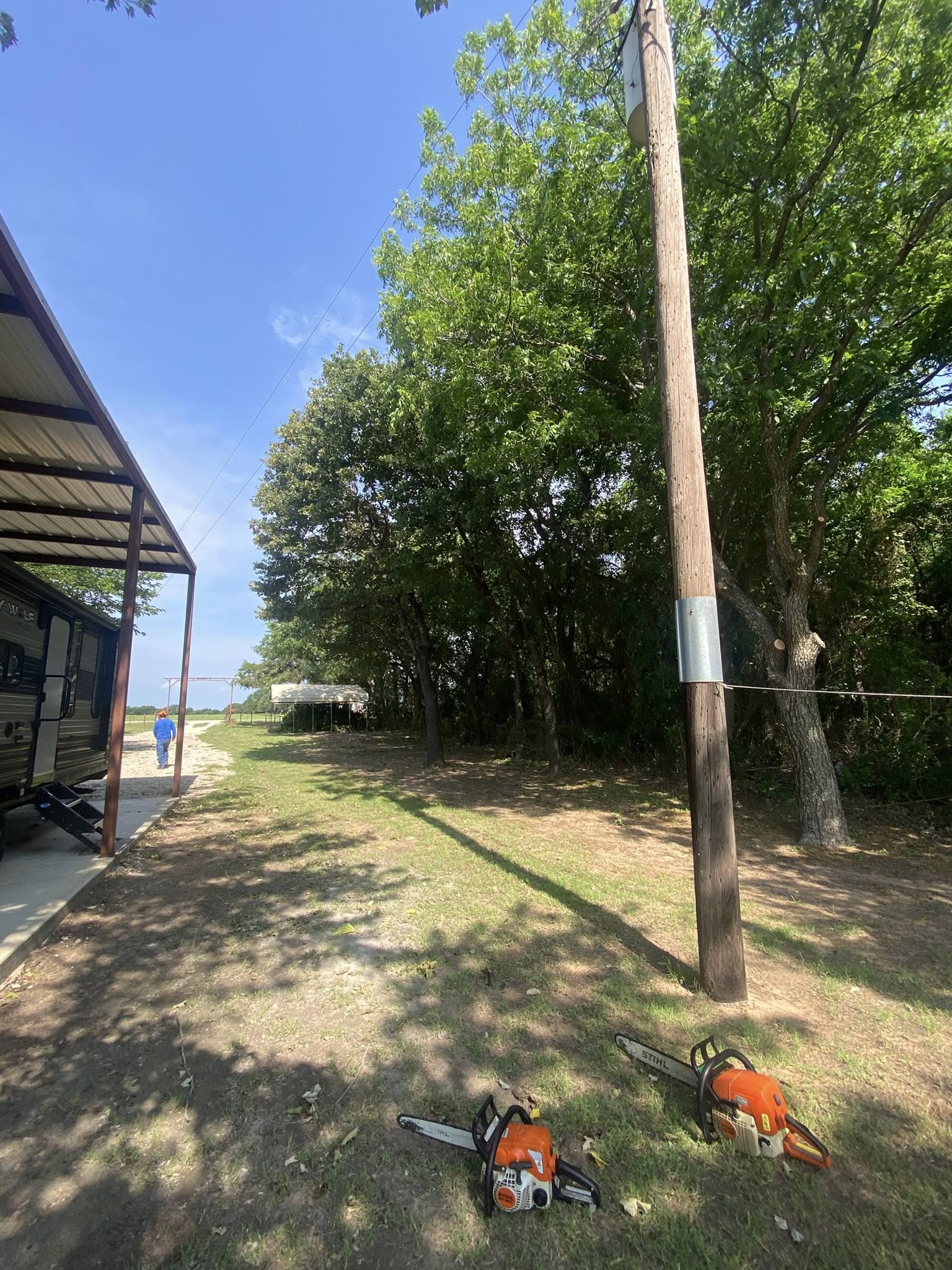  for Hector’s Tree Services in Nocona, TX