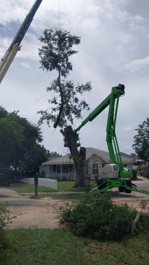 Daniel Hickey’s Tree Service team in DeLand, FL - people or person