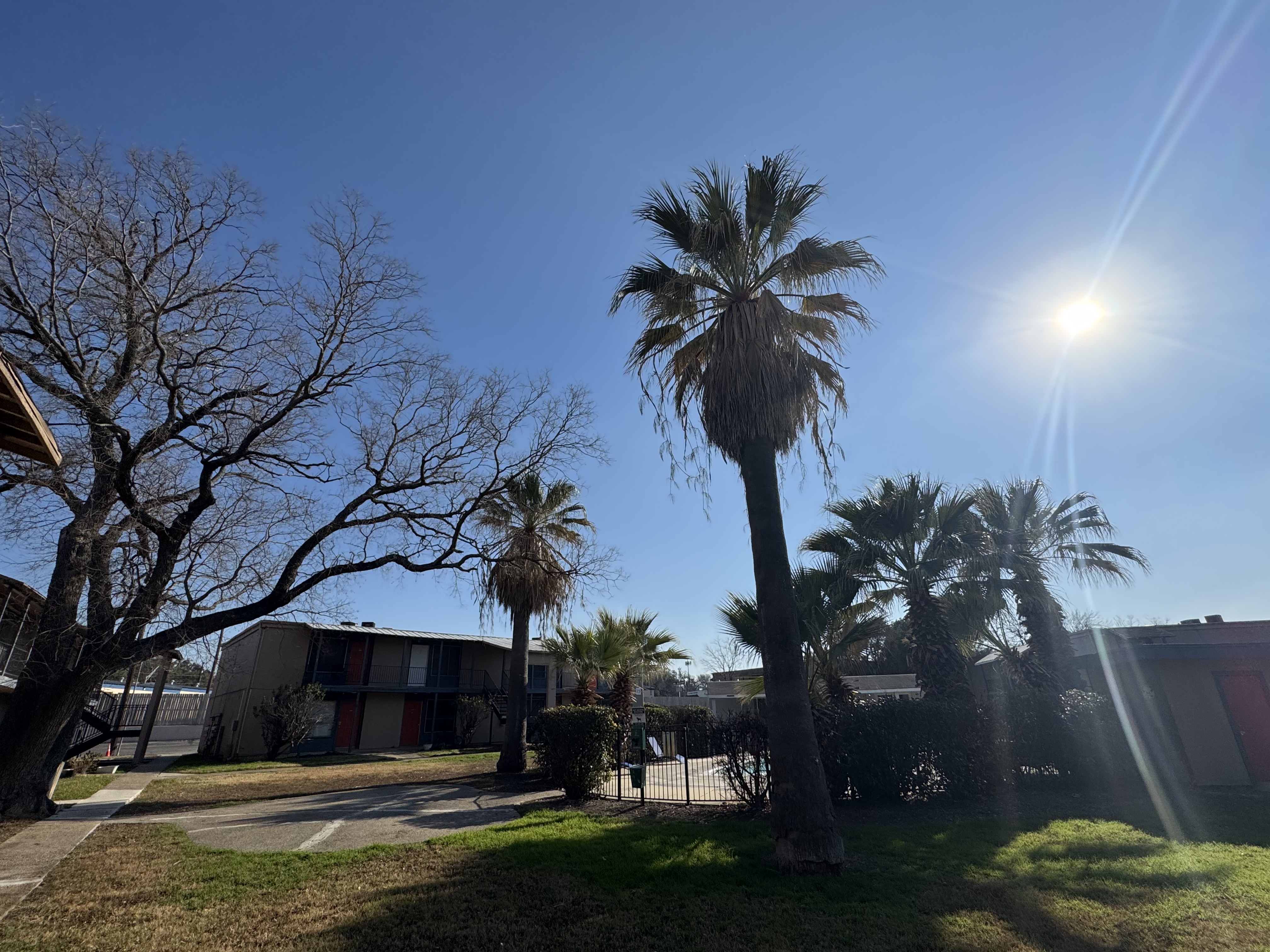  for DR Landscape in San Antonio, TX