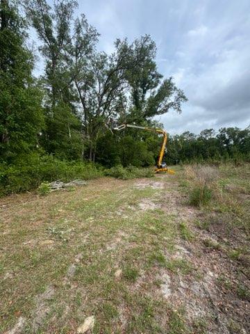  for All Seasons Tree and Land Works in Trenton, FL