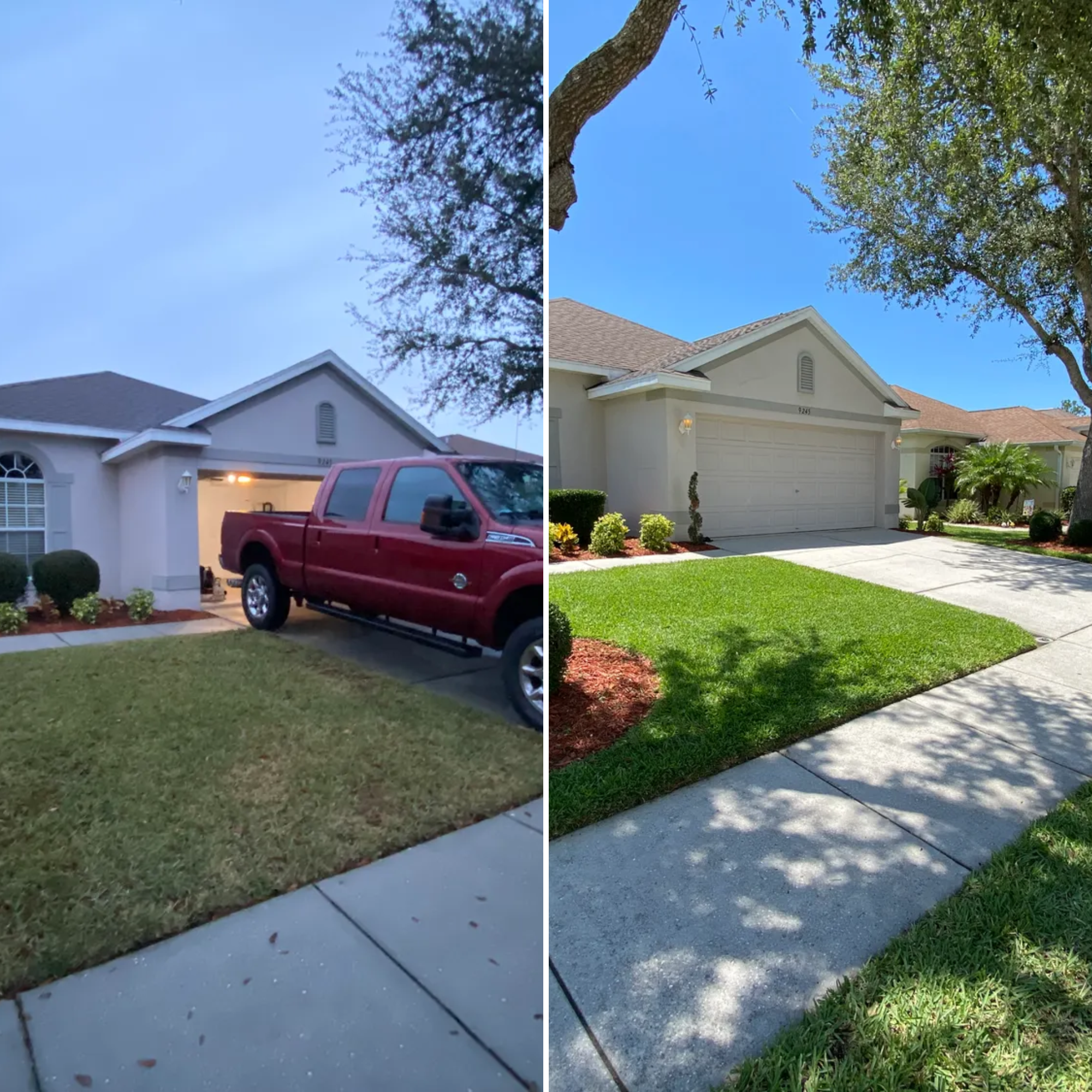  for Copeland Services in New Port Richey, FL