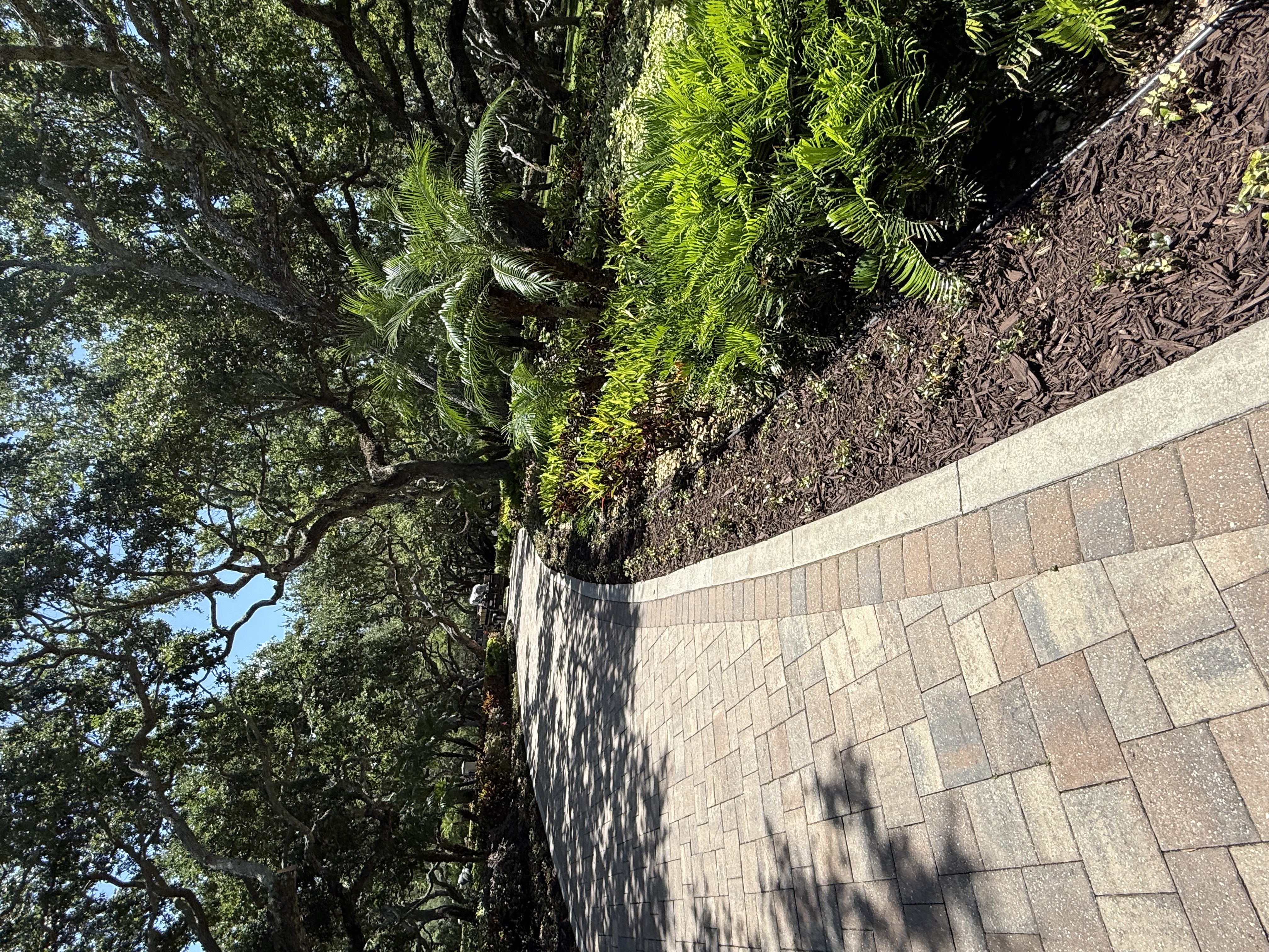 landscaping company Vanic's Landscaping in Port Orange, FL