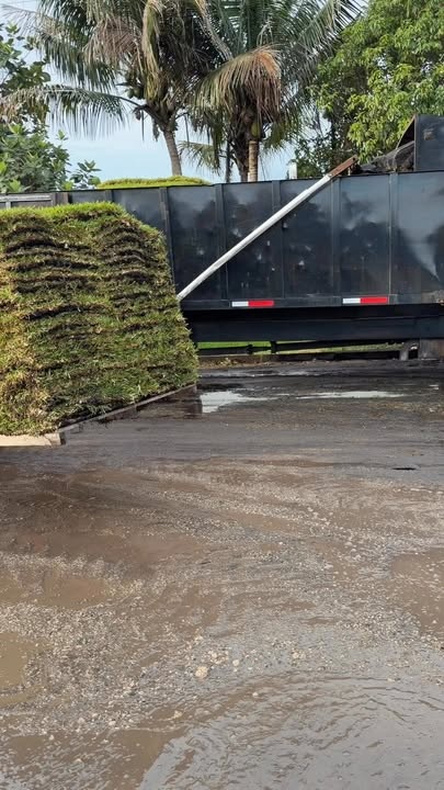  for Nurry Tree Services in Miami, FL