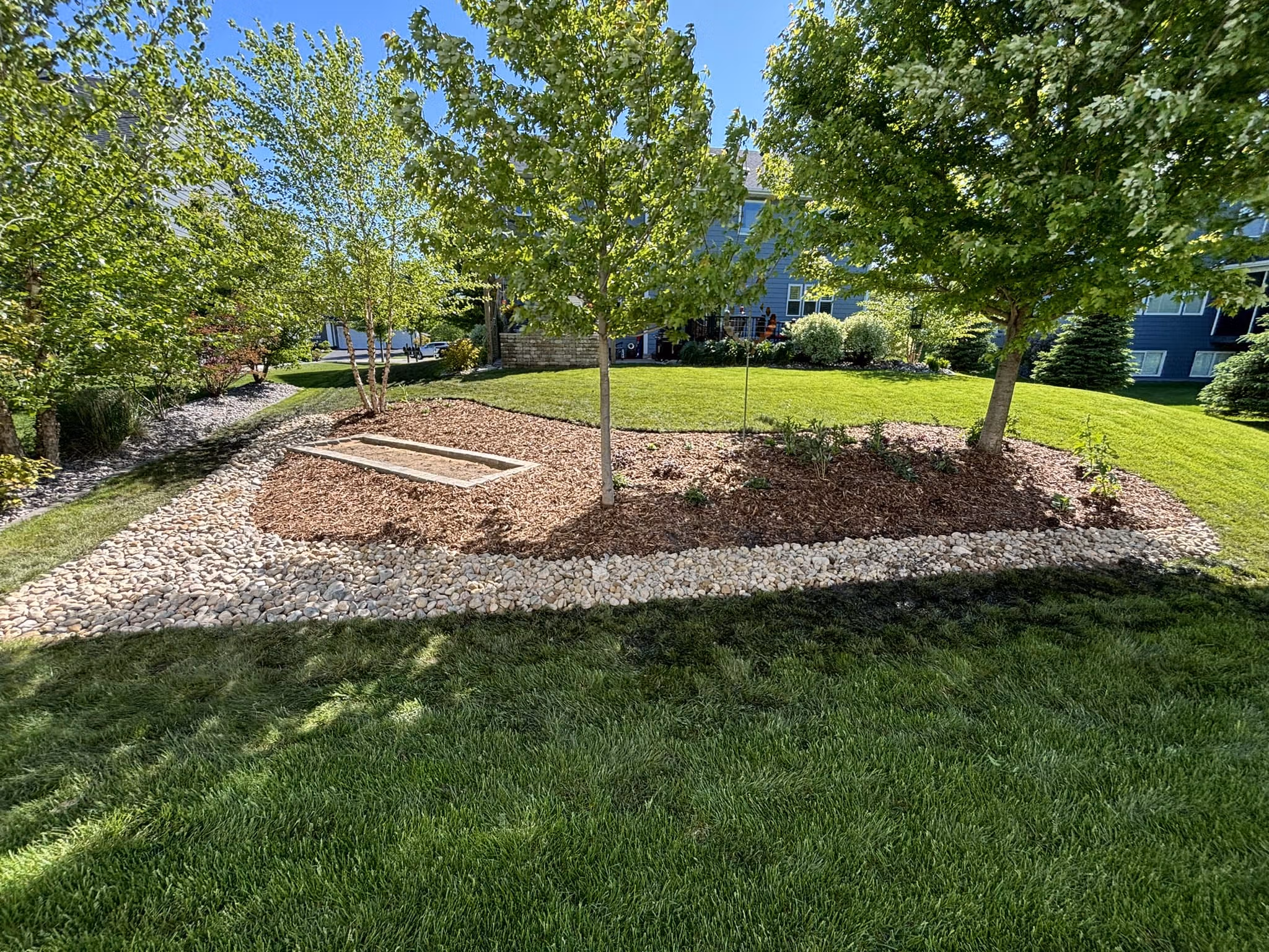 Tree & Shrub Planting