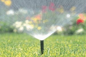 Clear Water Sprinkler and Irrigation Service team in Port Saint Lucie, FL - people or person
