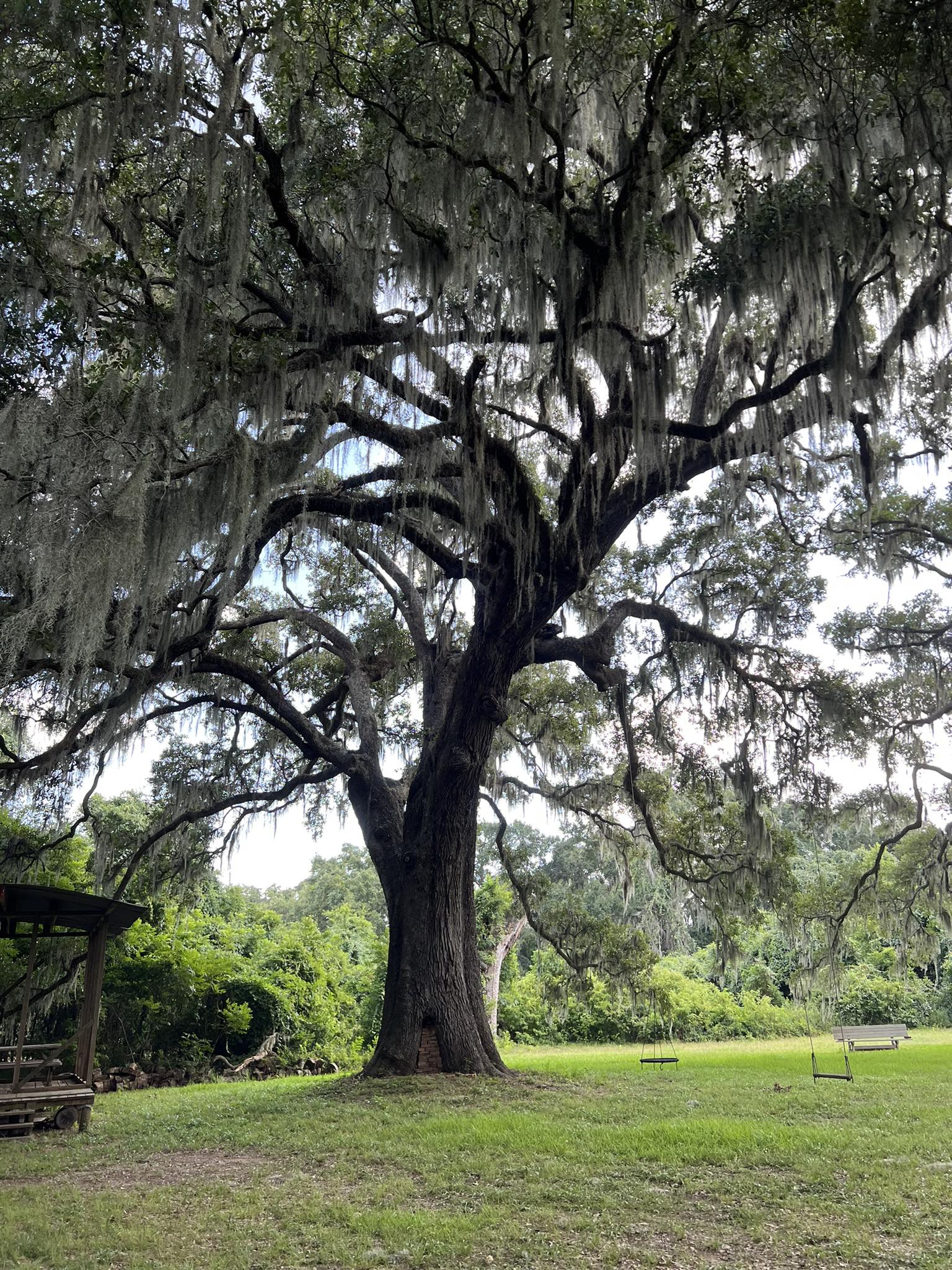  for Victor TREE Service INC. in Katy, TX