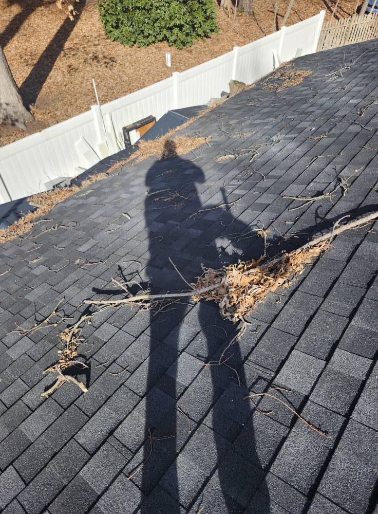  for Francos Landscaping LLC in Rehoboth Beach, DE