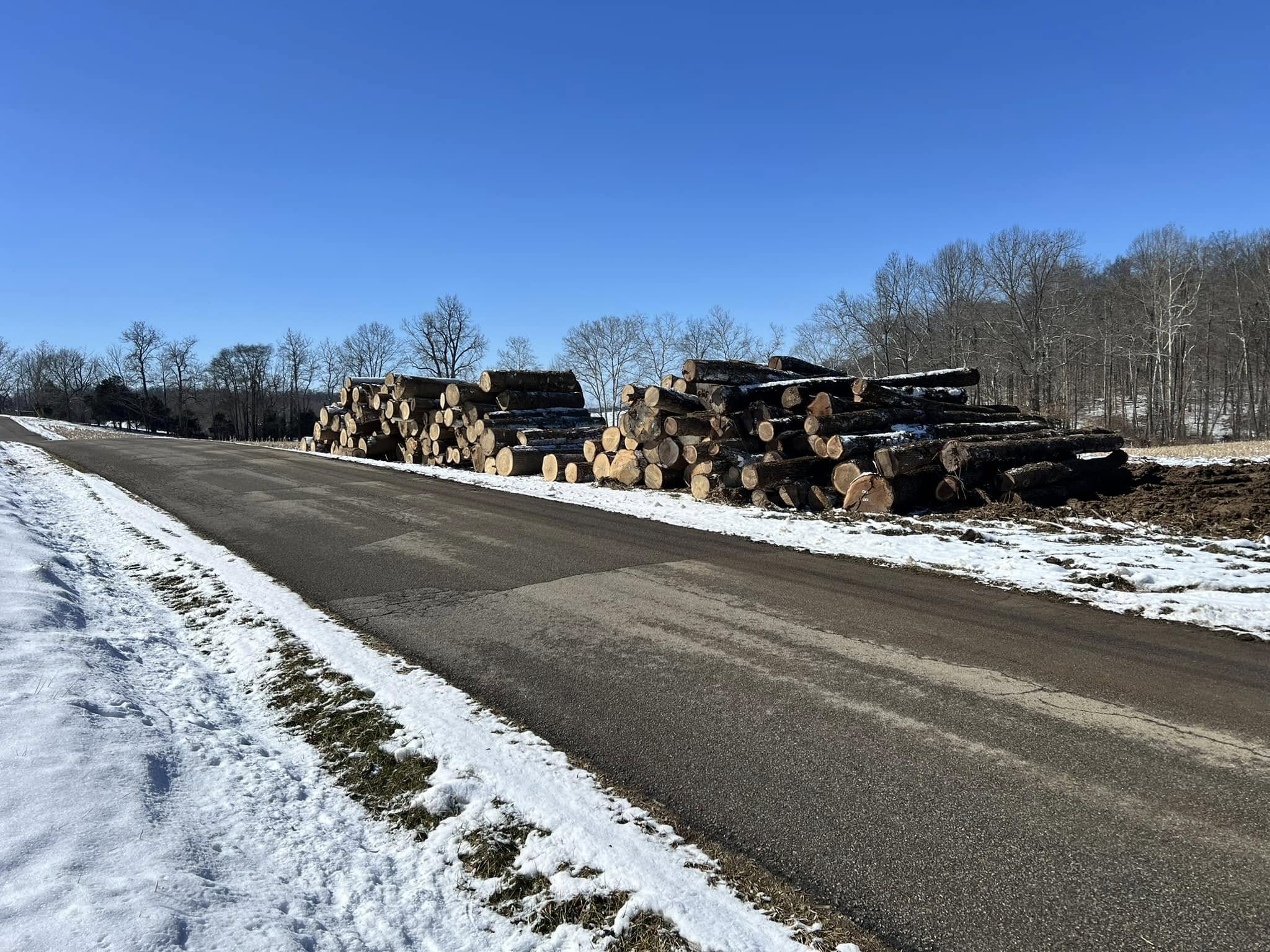 Tree Service company Kadin’s Tree Service in North Vernon, IN