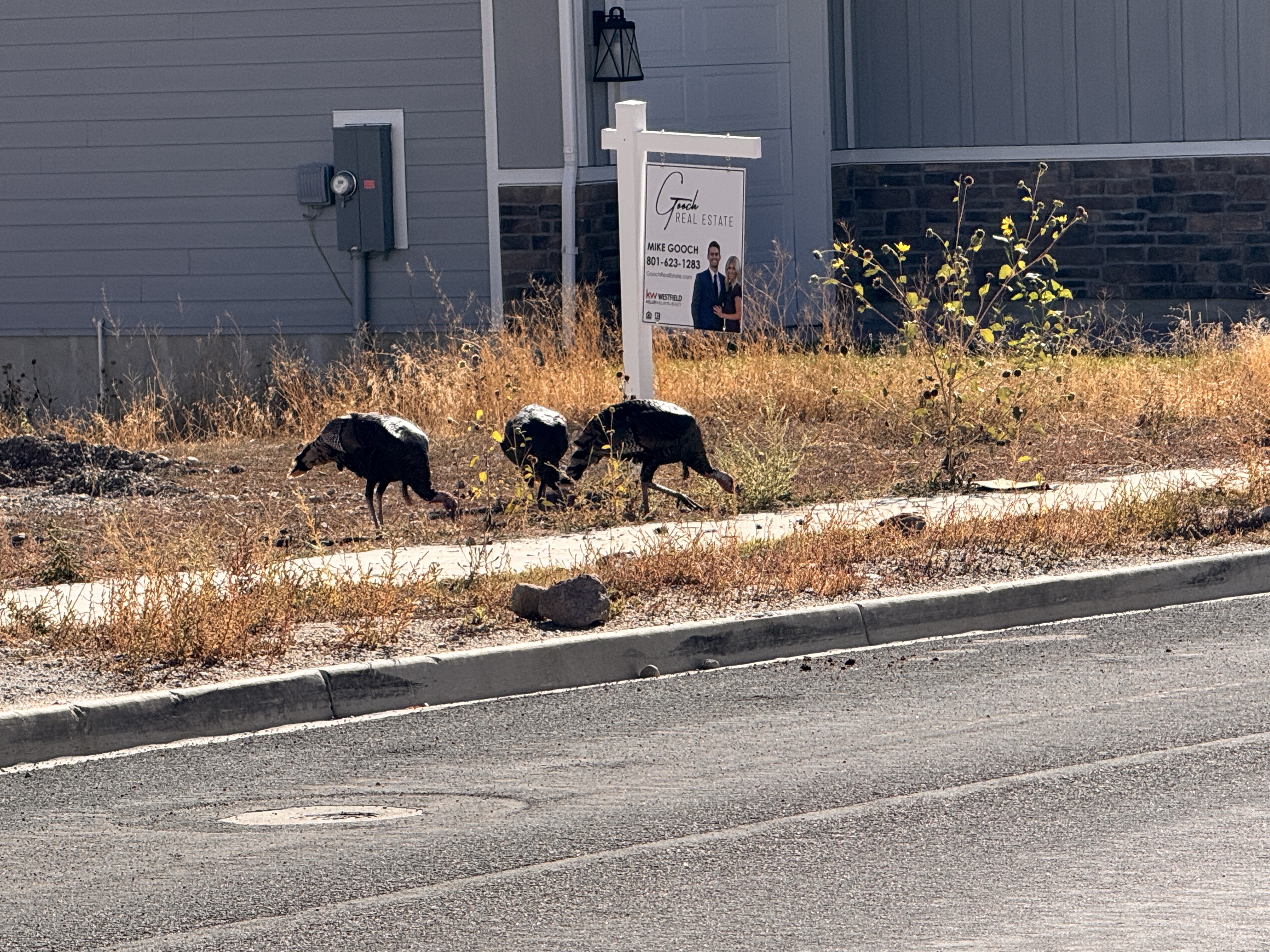  for Pioneer Services Utah in Draper, UT