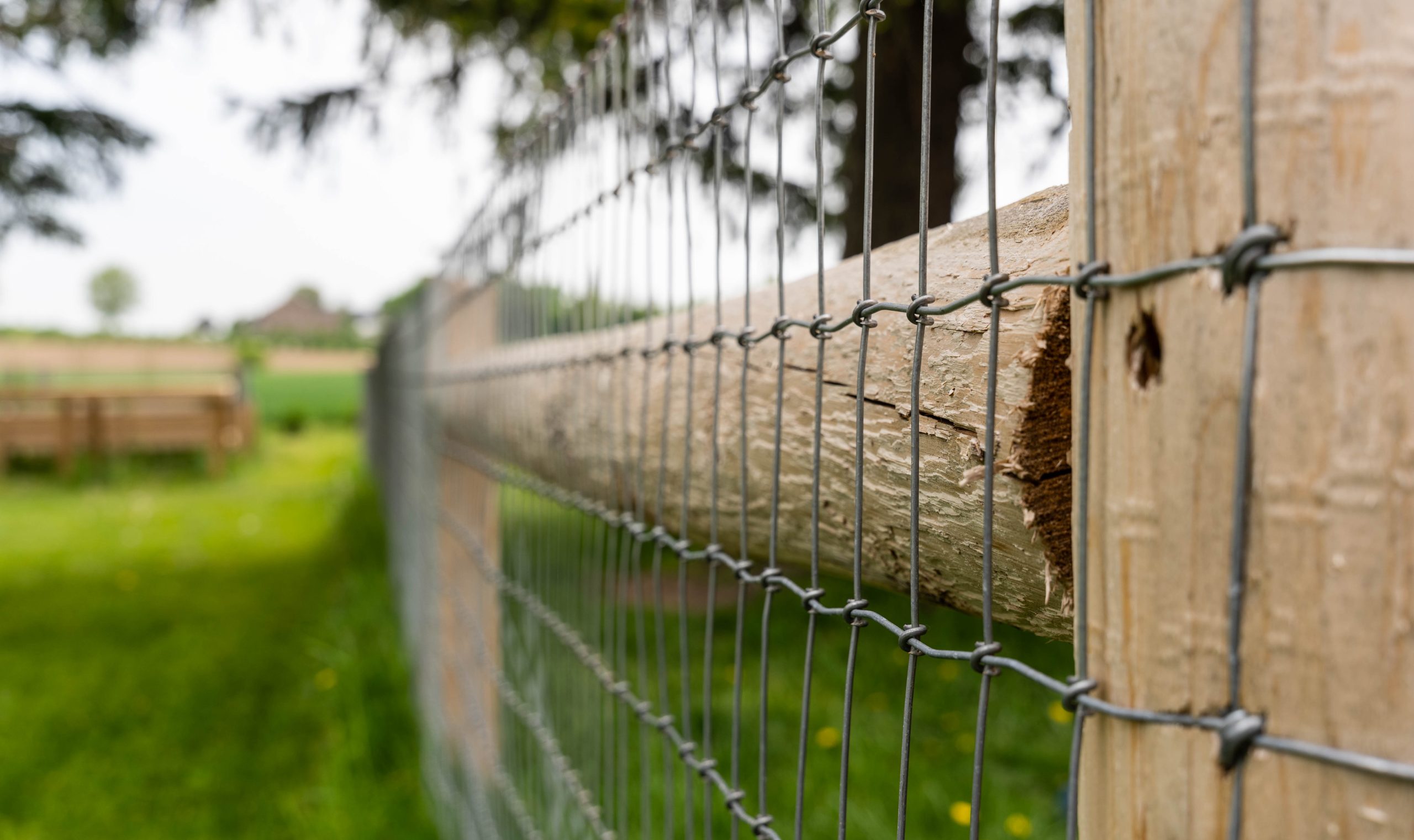 Top Tier Fencing team in Milton, FL - people or person