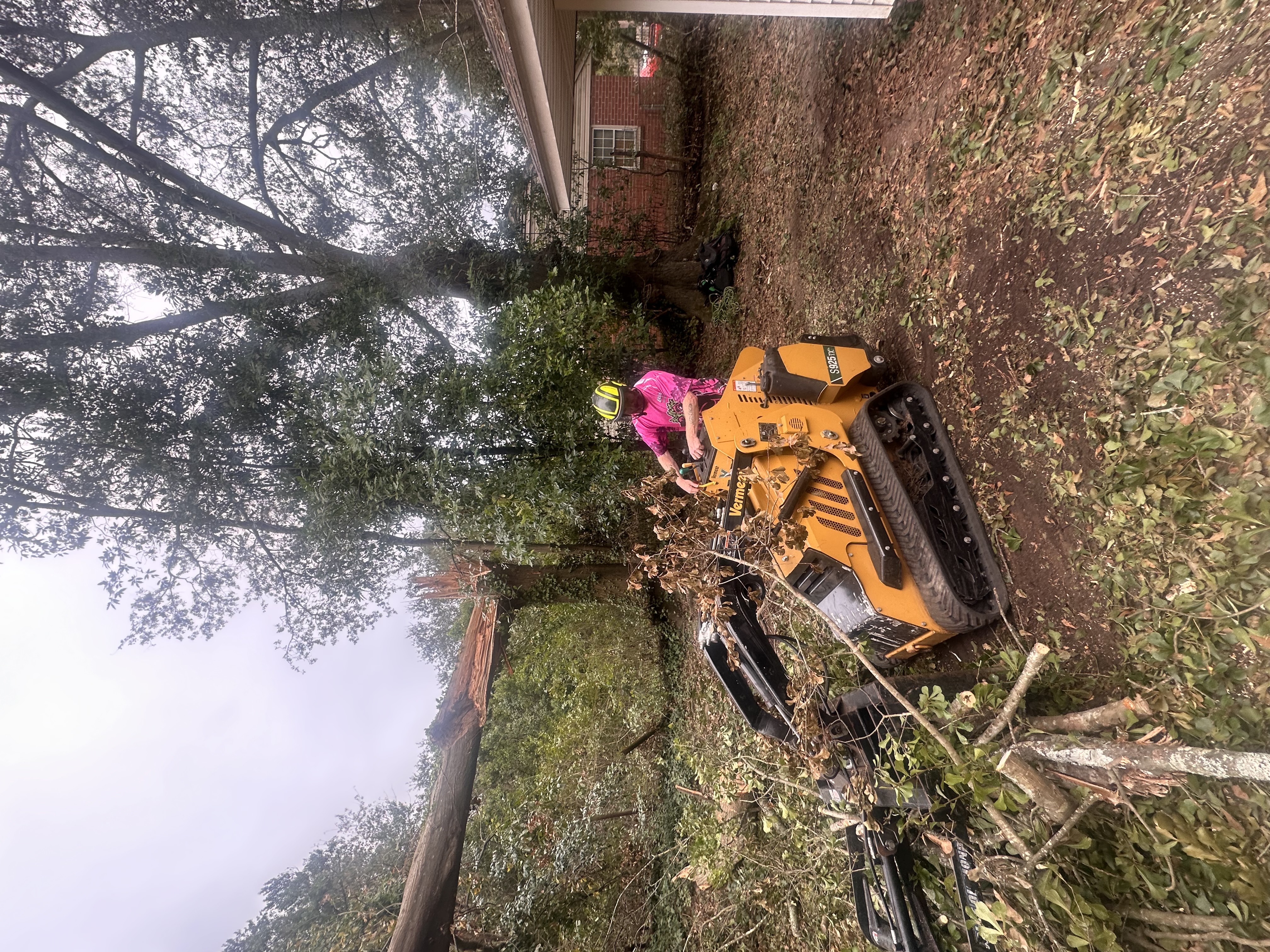  for Elite Tree & Landscape Services LLC in St. Augustine, FL