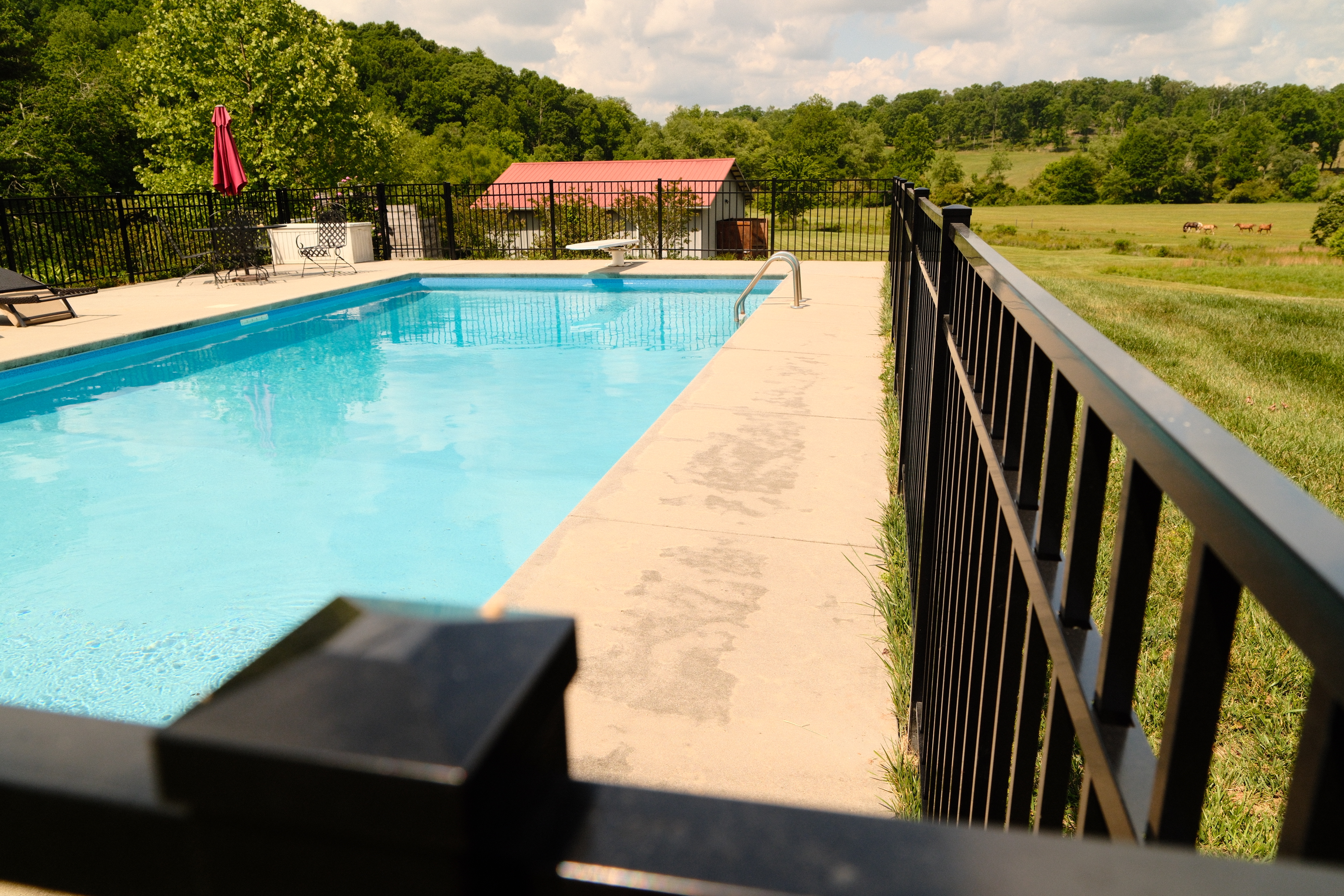  for Alpine Fence in Dahlonega, GA