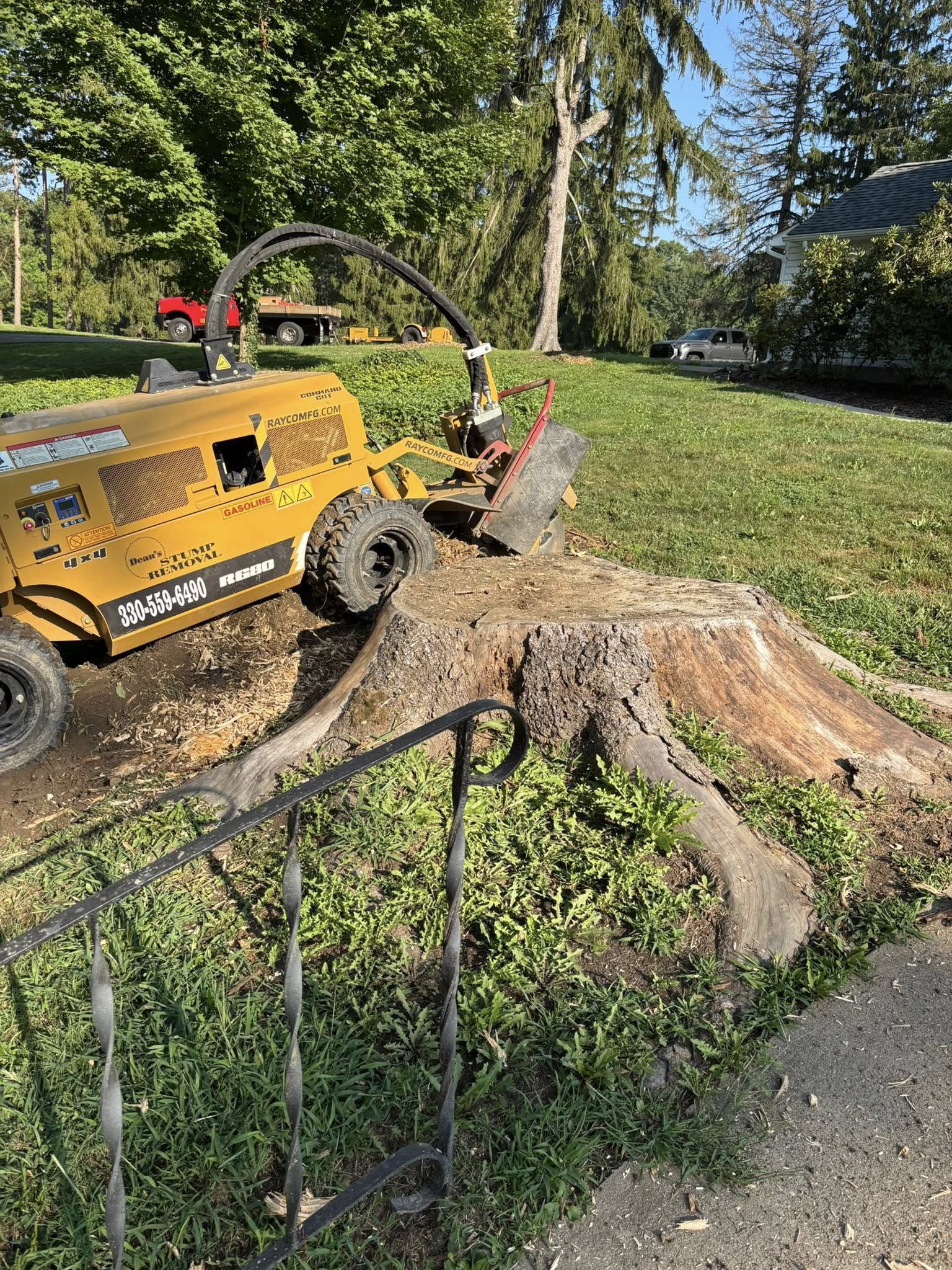  for Dean's Stump Removal in Youngstown, OH