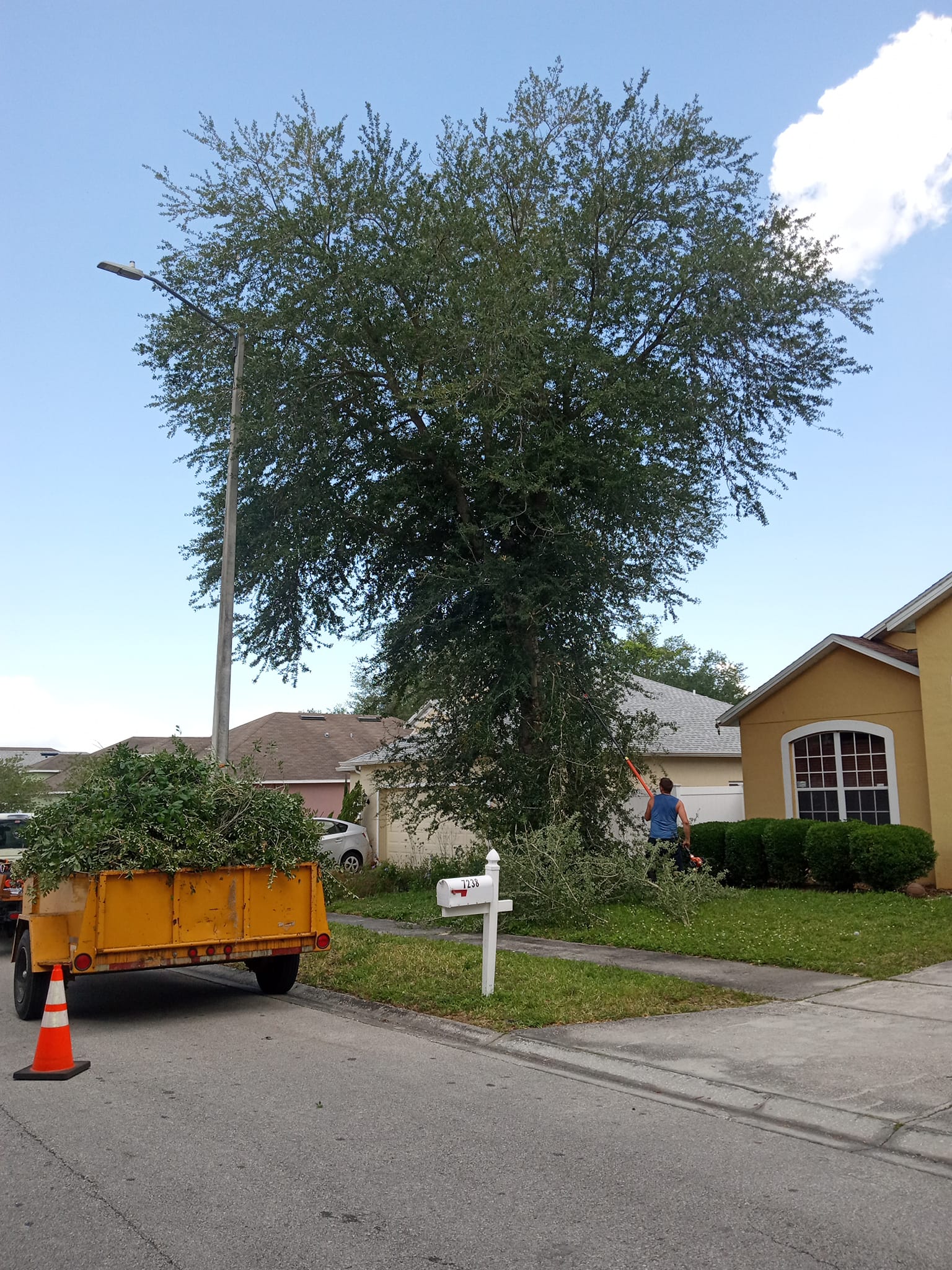  for A Southern Style Tree Service in Orlando, FL