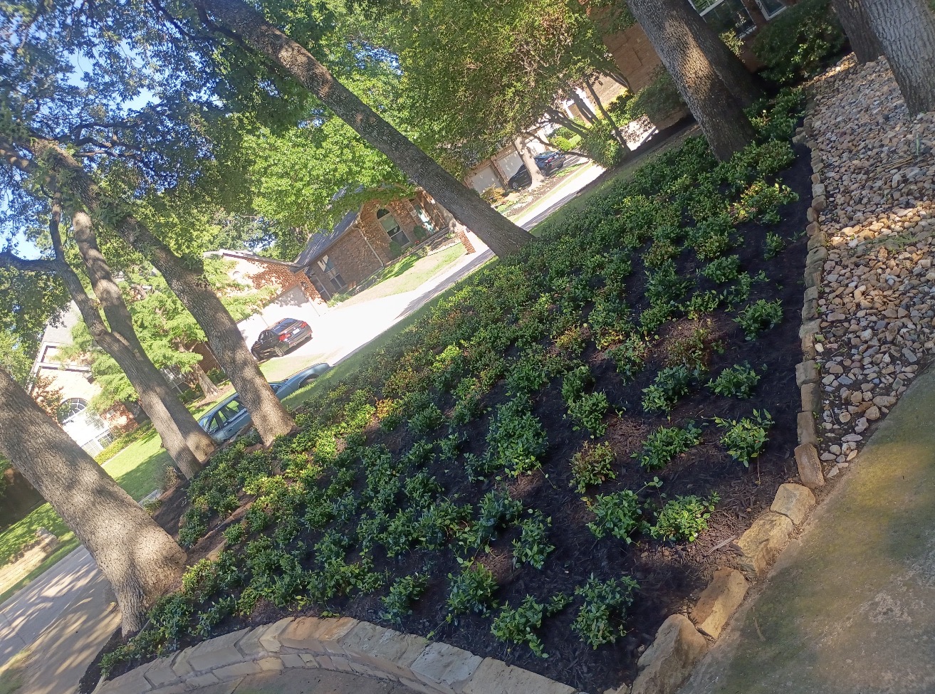  for Landscape Legends in Roanoke, TX