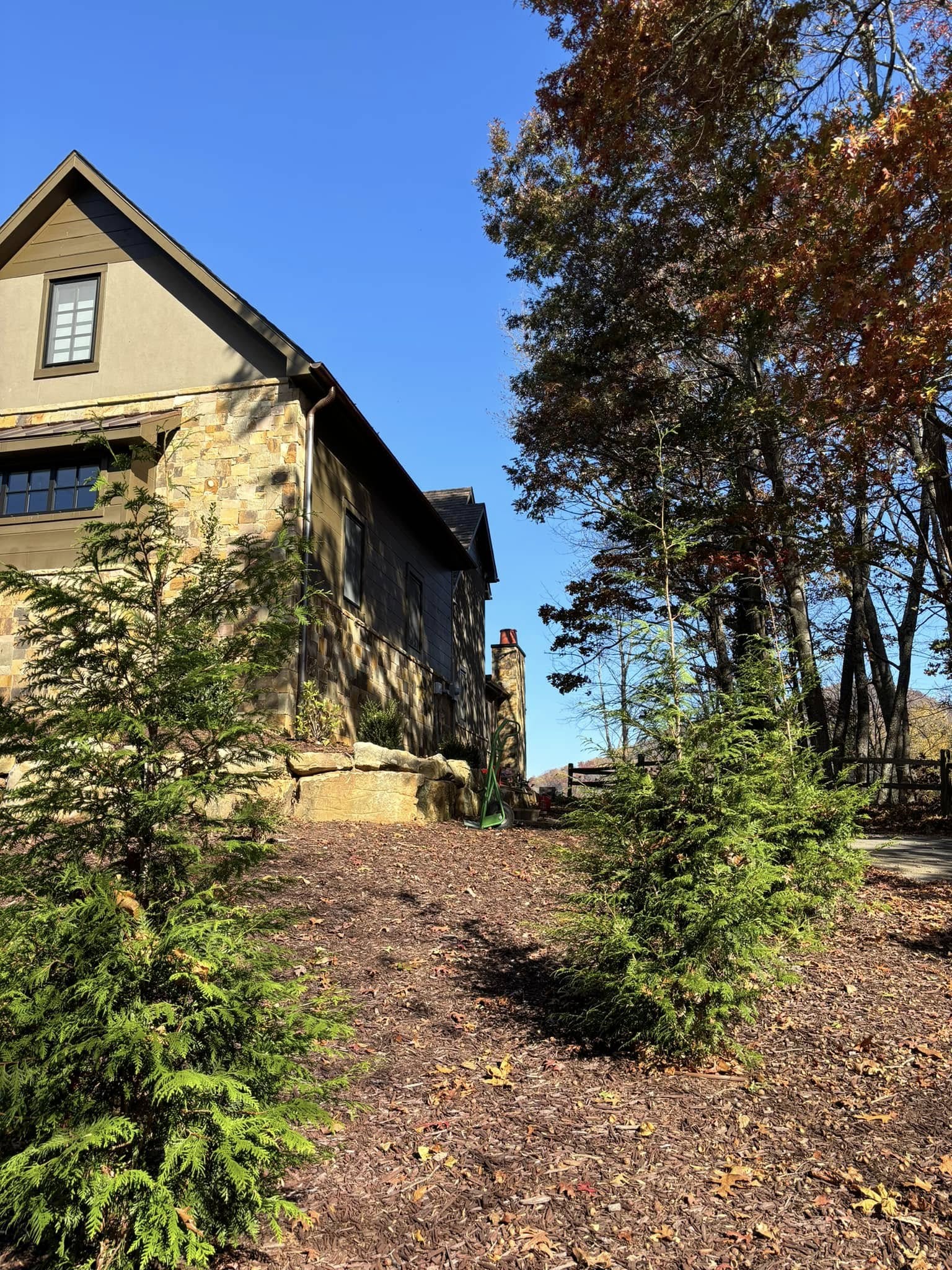  for Andy's Tree Service in Zirconia, NC