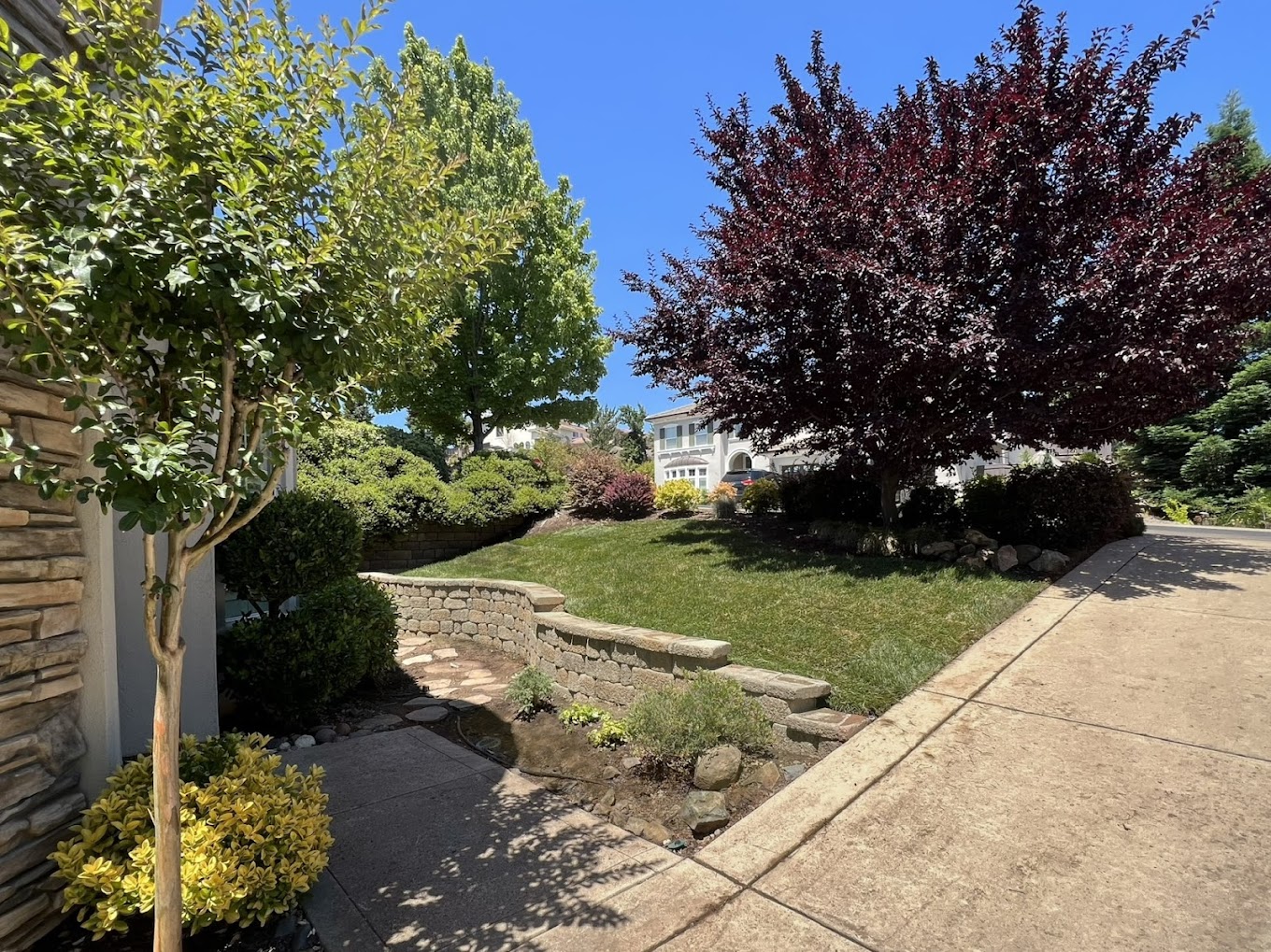  for Blue Water Landscape Services in Rancho Santa Fe, CA